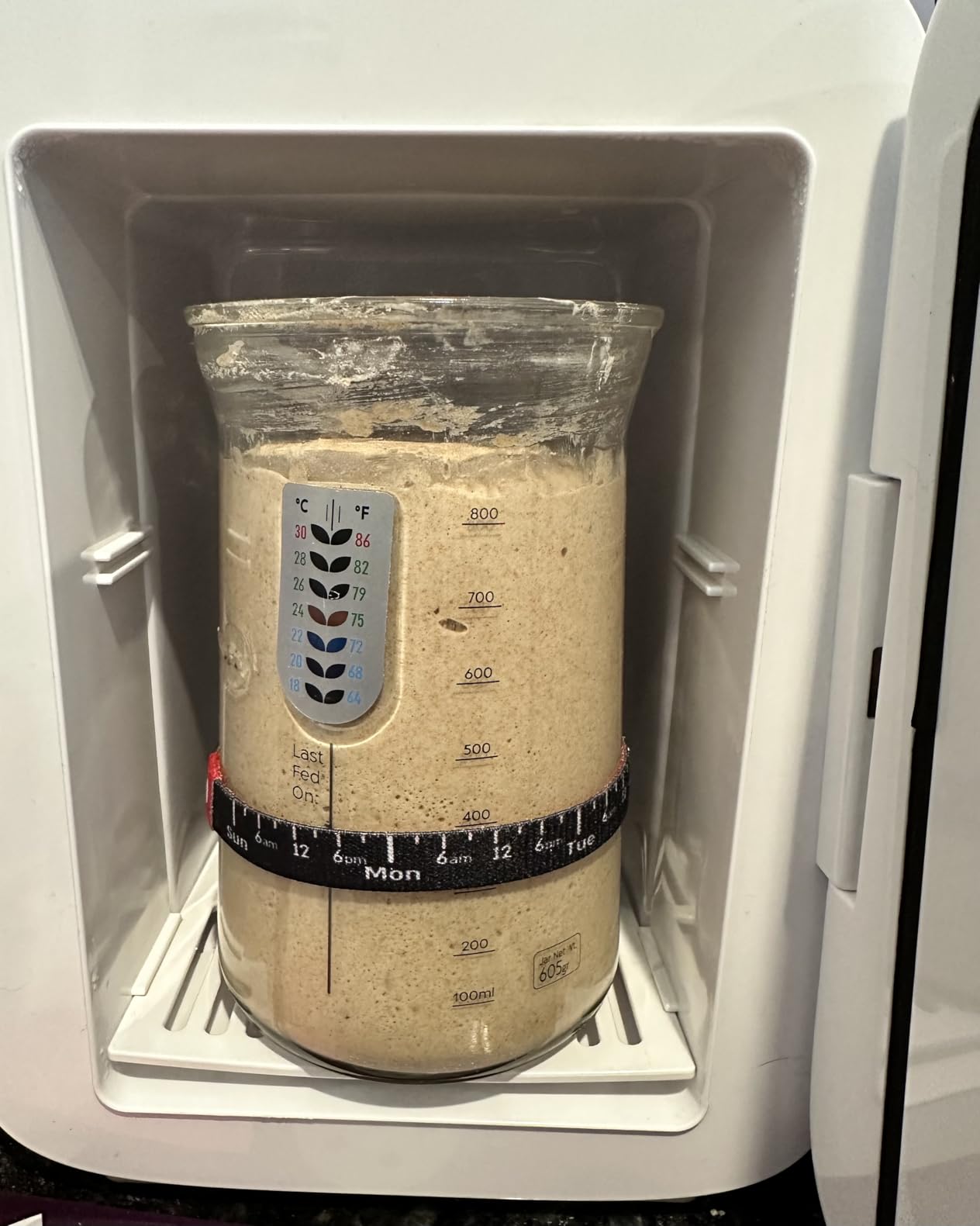 Brod & Taylor Sourdough Home customer photo 1