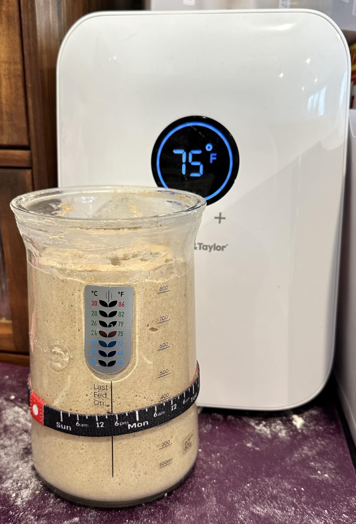 Brod & Taylor Sourdough Home customer photo 2