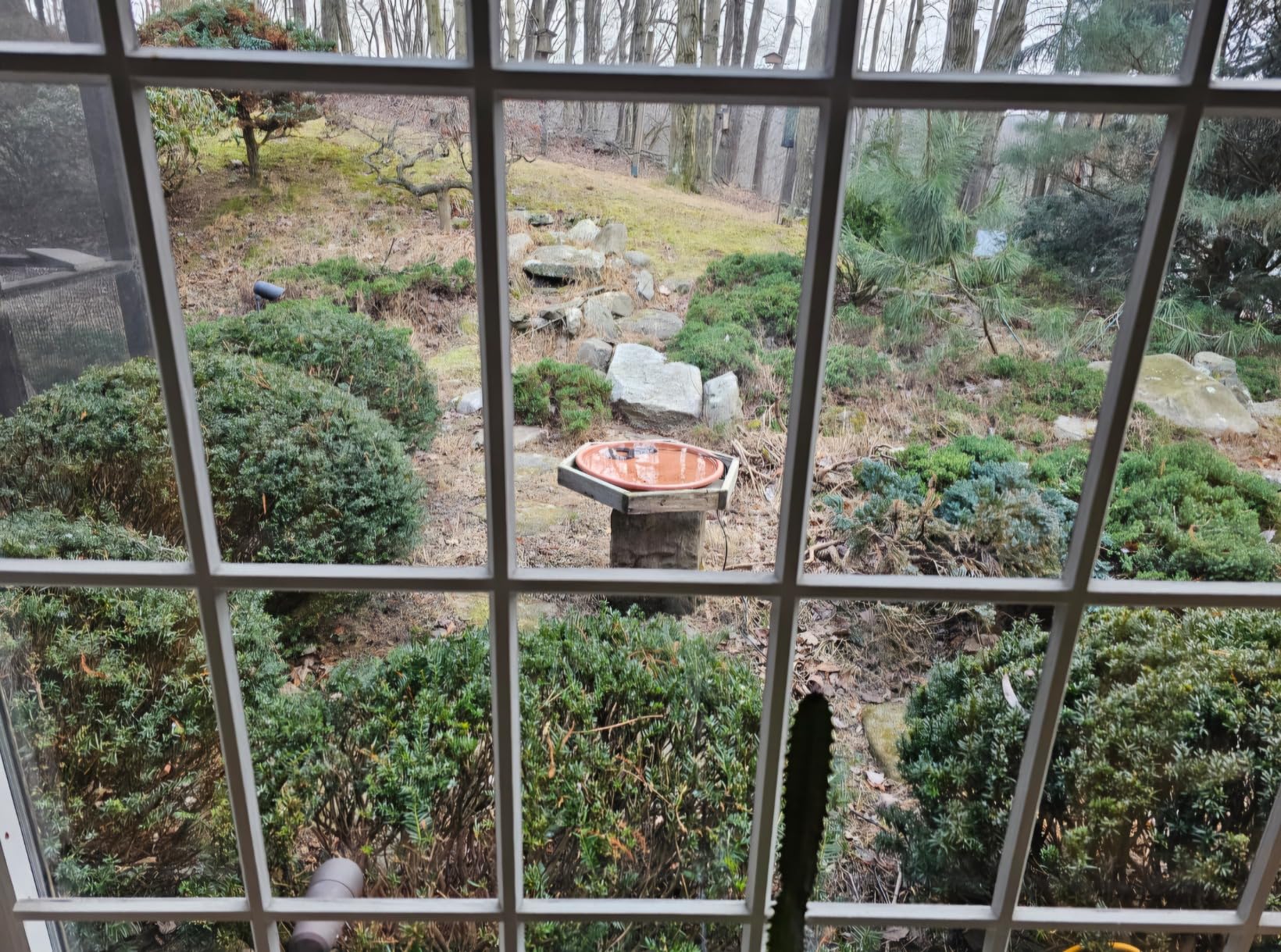 250 Watt Bird Bath De-Icer with Thermostat, Cast Aluminum Submersible Chicken Water Heater, Heated Bird Bath, Power Cord 9.8 Ft customer photo 1