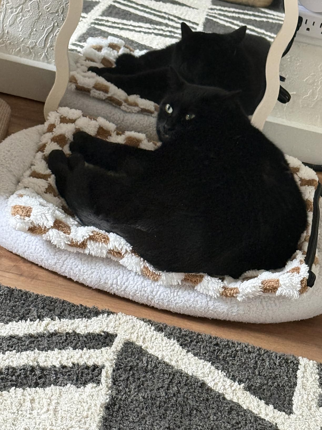 MIXJOY Heated Dog Bed, 11 Adjustable Temperature Dog Heating Pad Indoor with Timer, Pet Heated Mat for Dogs Cats, Electric Cat Heating Pad with Washable Cover, Heated Pet bed-28''x20'', Medium customer photo 2