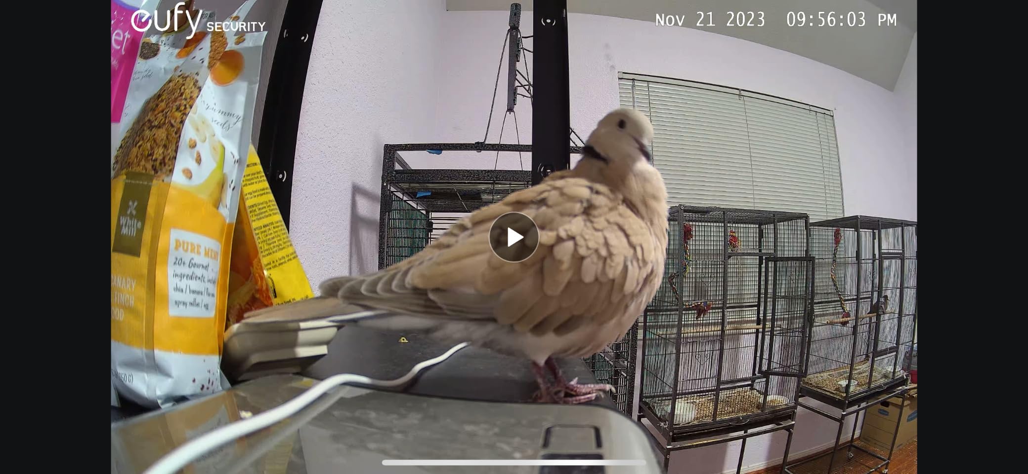 eufy Security 4K Indoor Camera S350 - No Subscription, Dual Cameras, 8× Zoom, 360° Pan & Tilt, AI Auto-Tracking, Human/Pet Detection, 2.4G/5G Wi-Fi customer photo 1