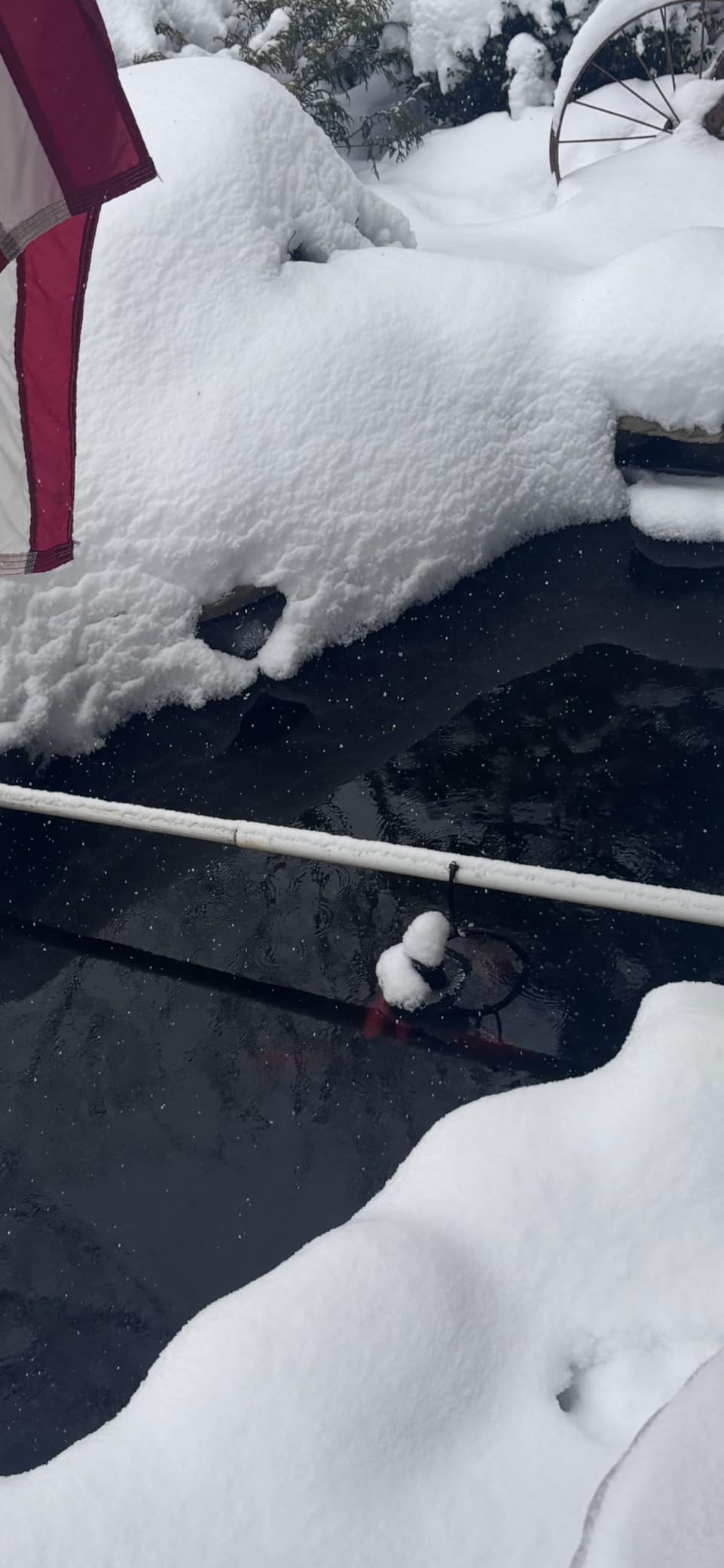 HITOP Outdoor Pond Heater - 150W 300W 600W Aquarium Heater for Small Ponds, Kio Pond, Pond De-icer with Long Cable Wire and Floatable Foam customer photo 1