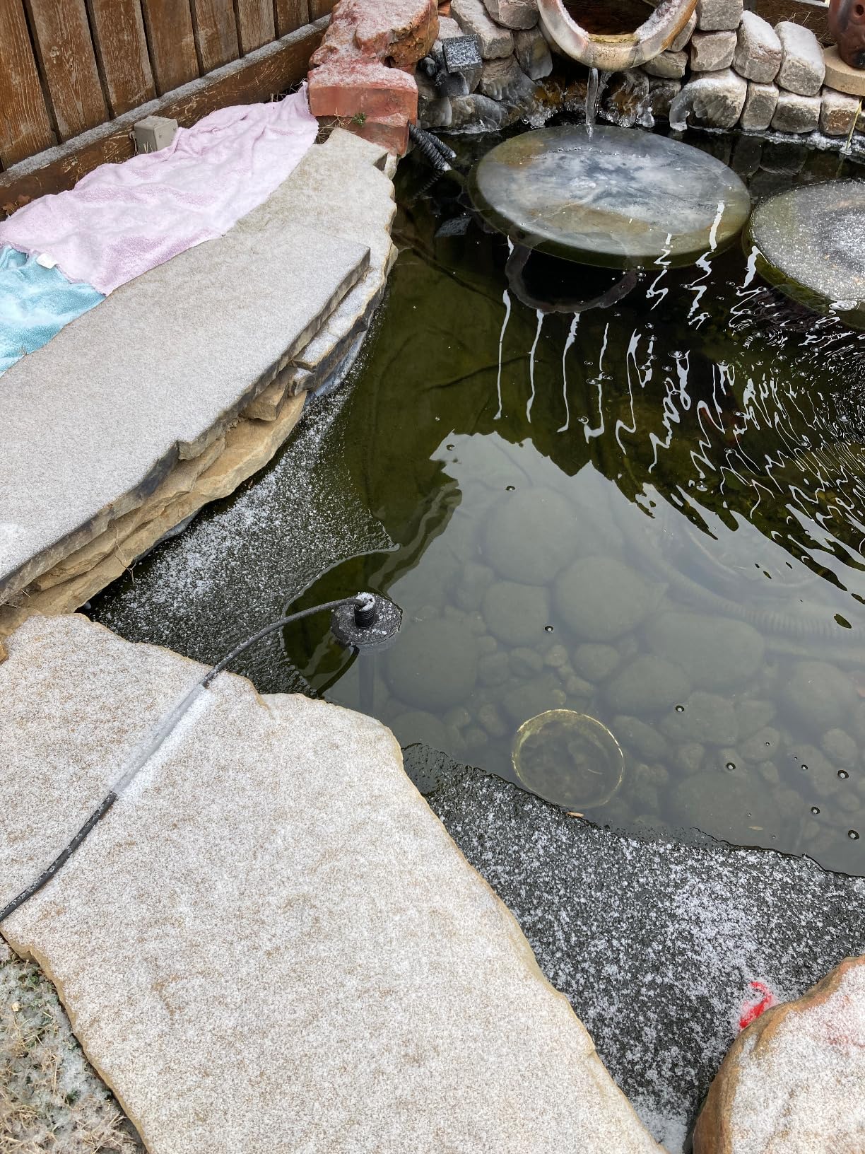 HITOP Outdoor Pond Heater - 150W 300W 600W Aquarium Heater for Small Ponds, Kio Pond, Pond De-icer with Long Cable Wire and Floatable Foam customer photo 2