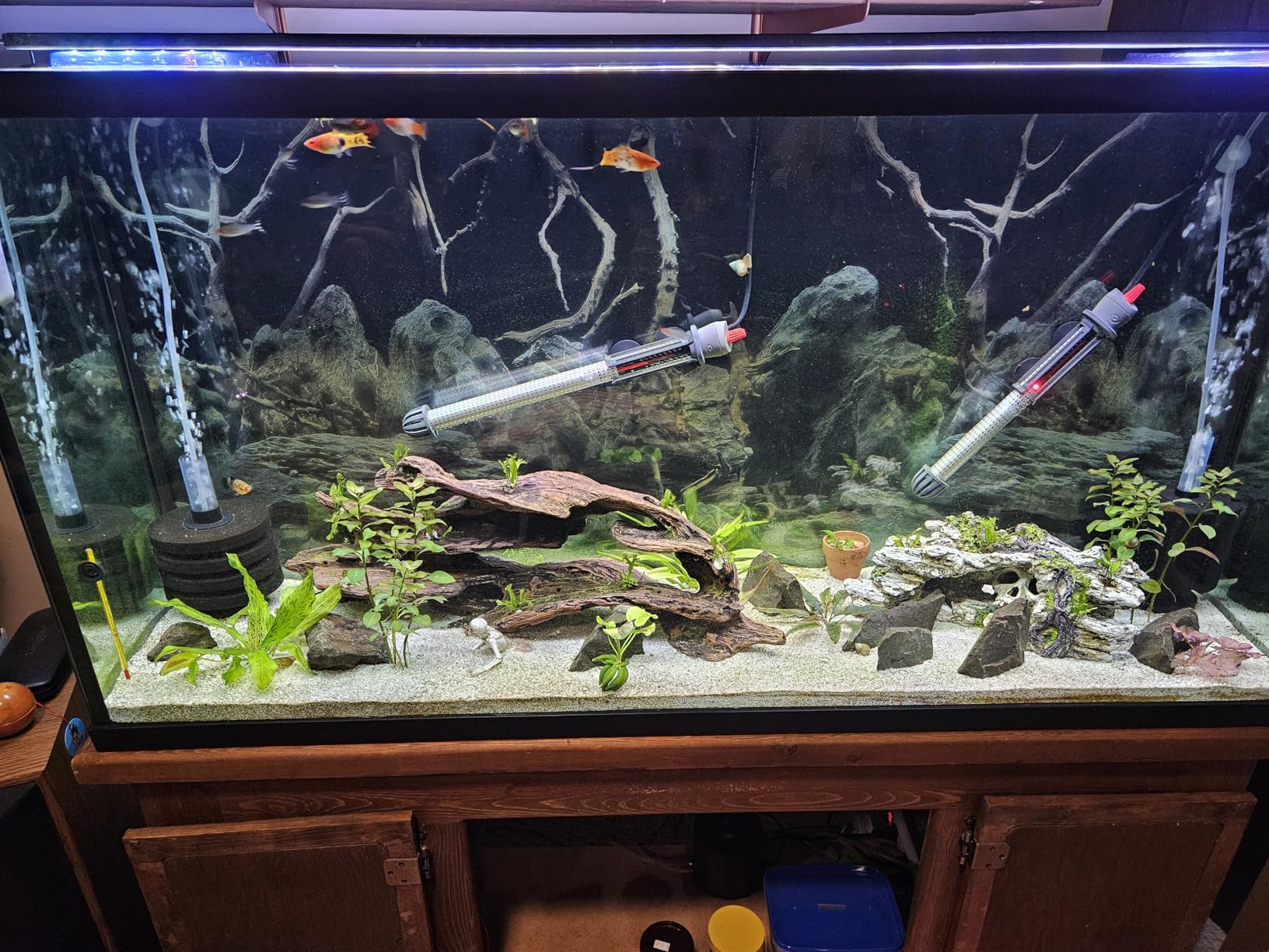 AQQA Aquarium Air Pump, Quiet Powerful Fish Tank Air Pump 3W/6W/10W with Stainless Steel Dual Outlet, Adjustable Oxygen Aerator Pump with Air Stone Bubbler for Fish Tank Up to 200 Gallon 3W (Tubby) customer photo 1