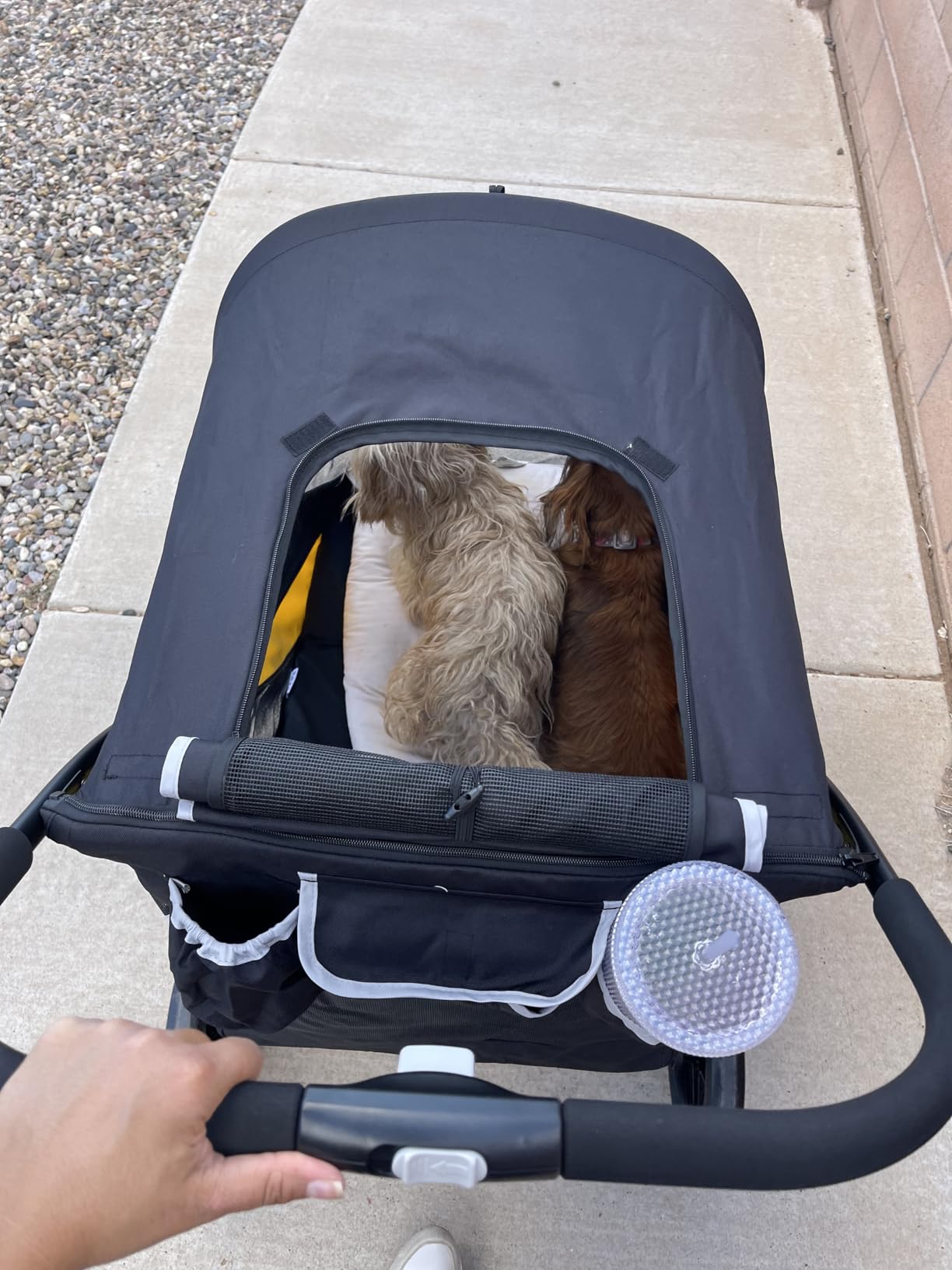 Petbobi Dog Stroller for Large & Medium Dogs - Easy Fold Dual Entry Pet Stroller with One-Foot Brake, All Terrain Wagon Cart with Air Mesh, Ideal for Large Senior Pets up to 80 lbs, Black customer photo 1