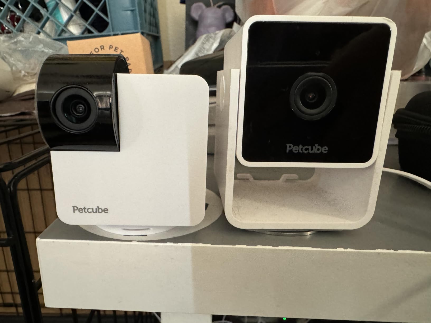 Petcube Cam 360 Camera Interactive WiFi Pet and Home Security Pan-Tilt Camera with Phone App, 1080p HD Video, 360° Rotation, Night Vision, AI Alerts customer photo 1