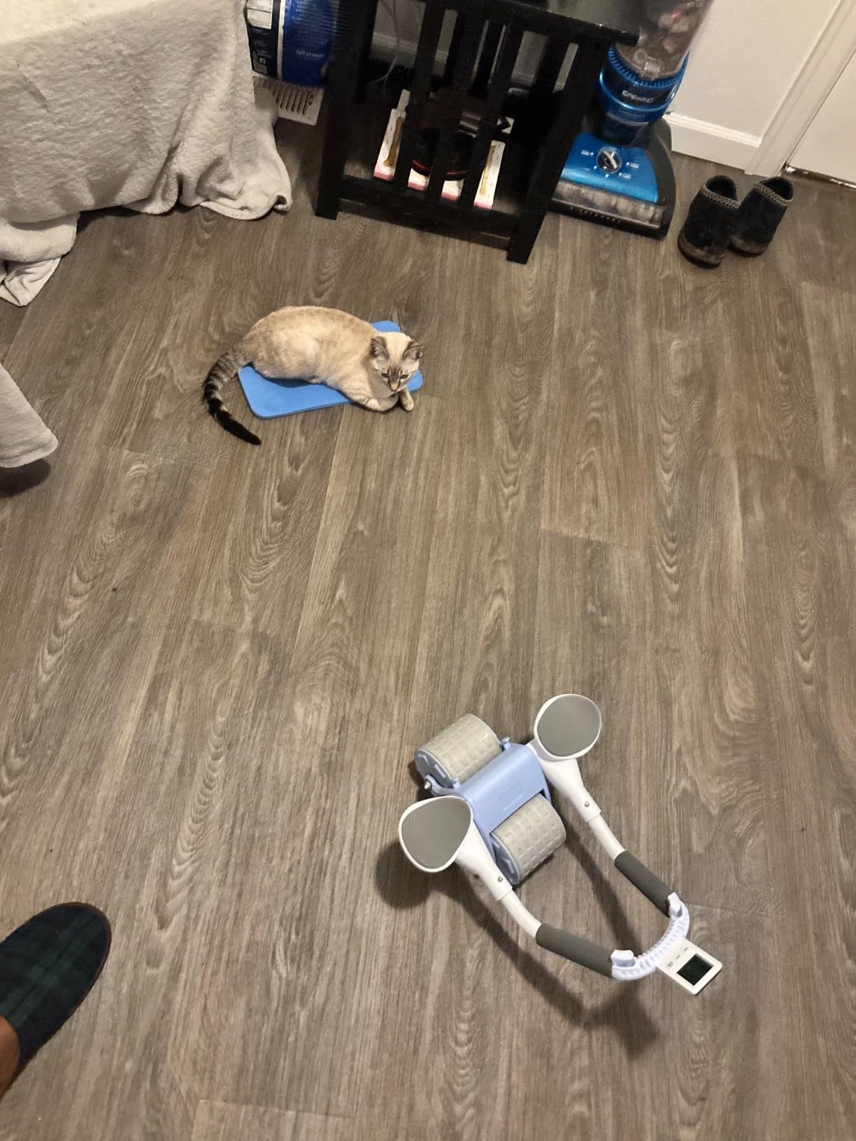 2026 New Ab Roller Wheel with Knee Mat & Timer, Automatic Rebound Abdominal Wheel, Ab Abdominal Exercise Roller with Elbow Support, Abs Workout Equipment Ab Exercise Roller for Women Men customer photo 2