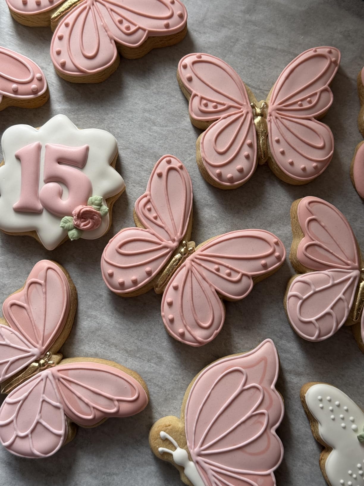 COSORI Food Dehydrator for Jerky, 176°F Temperature Control, 5 Stainless Steel Trays with 5.1 ft² Drying Space, 4 Presets, 48H Timer, for Dog Treats, Meat, Fruit, Veggies, Snacks, Bright-Silver customer photo 2