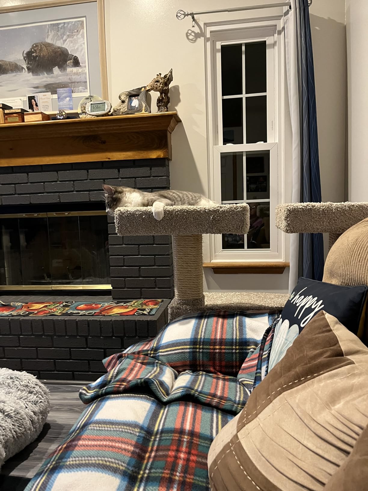 Prestige Cat Trees Maine Coon Deluxe Cat Perch - Made in USA Sturdy Solid-Wood Tower for Large & Multiple Cats - Easy 2-Step Assembly, Plush Carpet, Sisal Scratch Posts customer photo 2