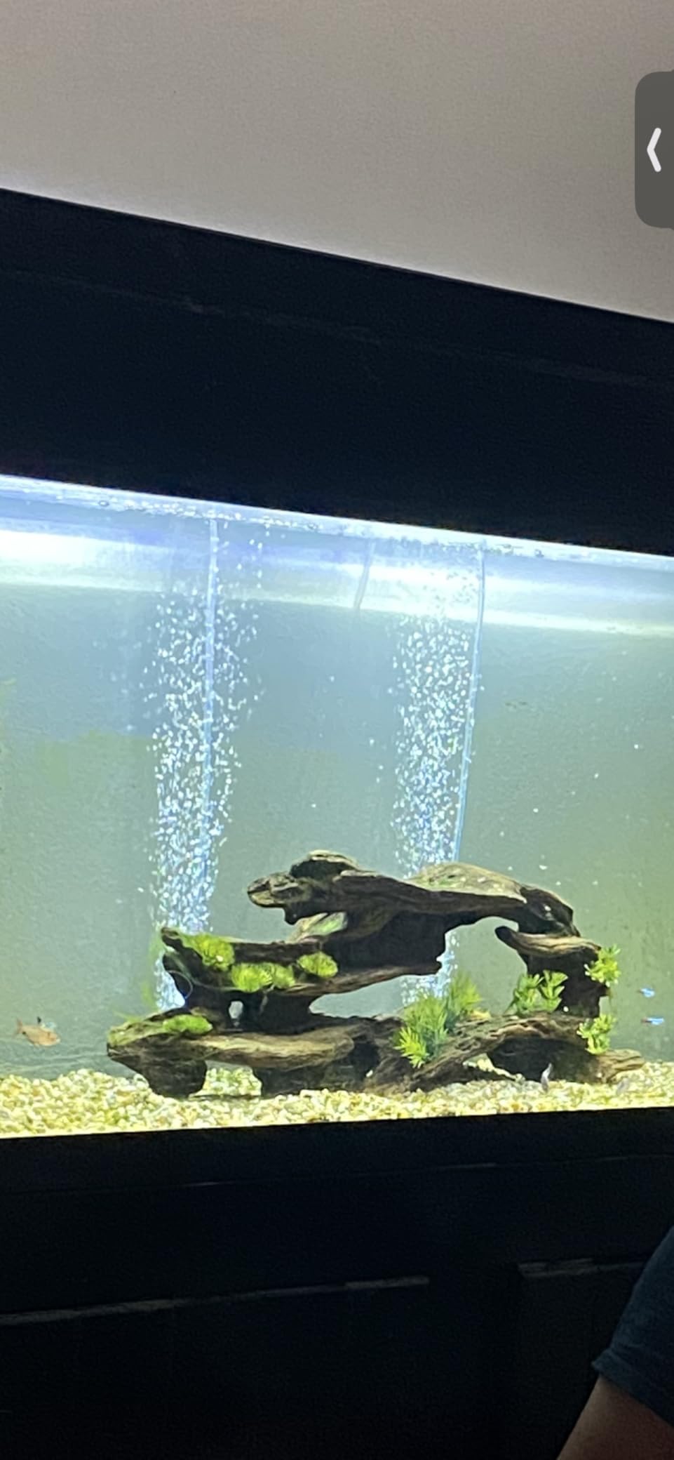 hygger Strong Aquarium Air Pump for Medium Large Fish Tank, Hydroponic Systerm, Household Commercial Use customer photo 1