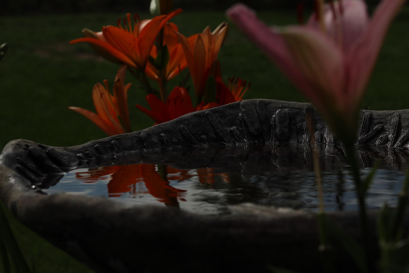 K&F CONCEPT 95mm Variable ND Filter ND2-ND32 Camera Lens Filter (1-5 Stops) No X Cross HD Neutral Density Filter with 28 Multi-Layer Coatings Waterproof (Nano-X Series) customer photo 1