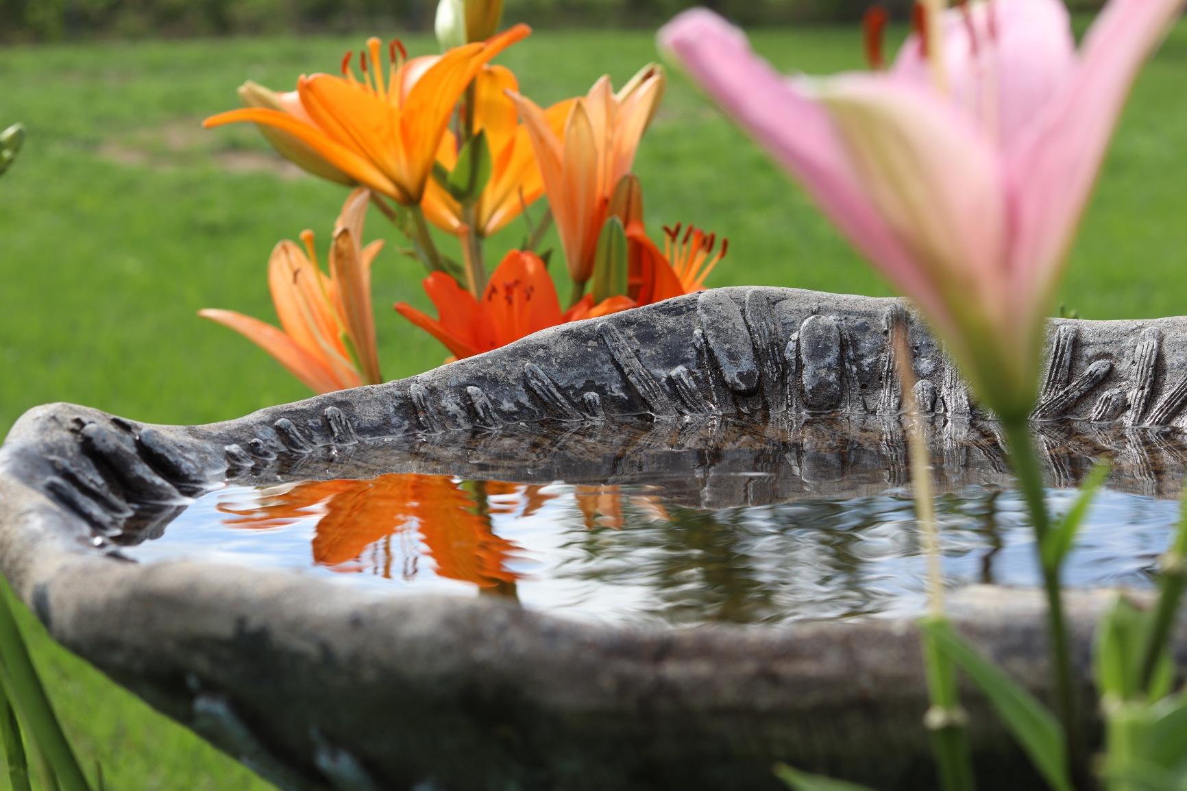 K&F CONCEPT 95mm Variable ND Filter ND2-ND32 Camera Lens Filter (1-5 Stops) No X Cross HD Neutral Density Filter with 28 Multi-Layer Coatings Waterproof (Nano-X Series) customer photo 2