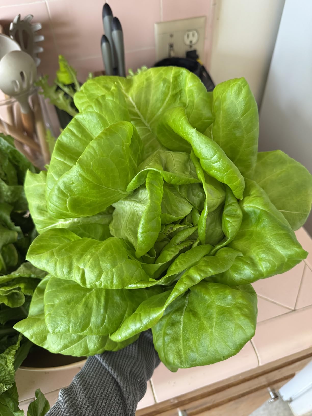 Farmstand Nook 4ft.7