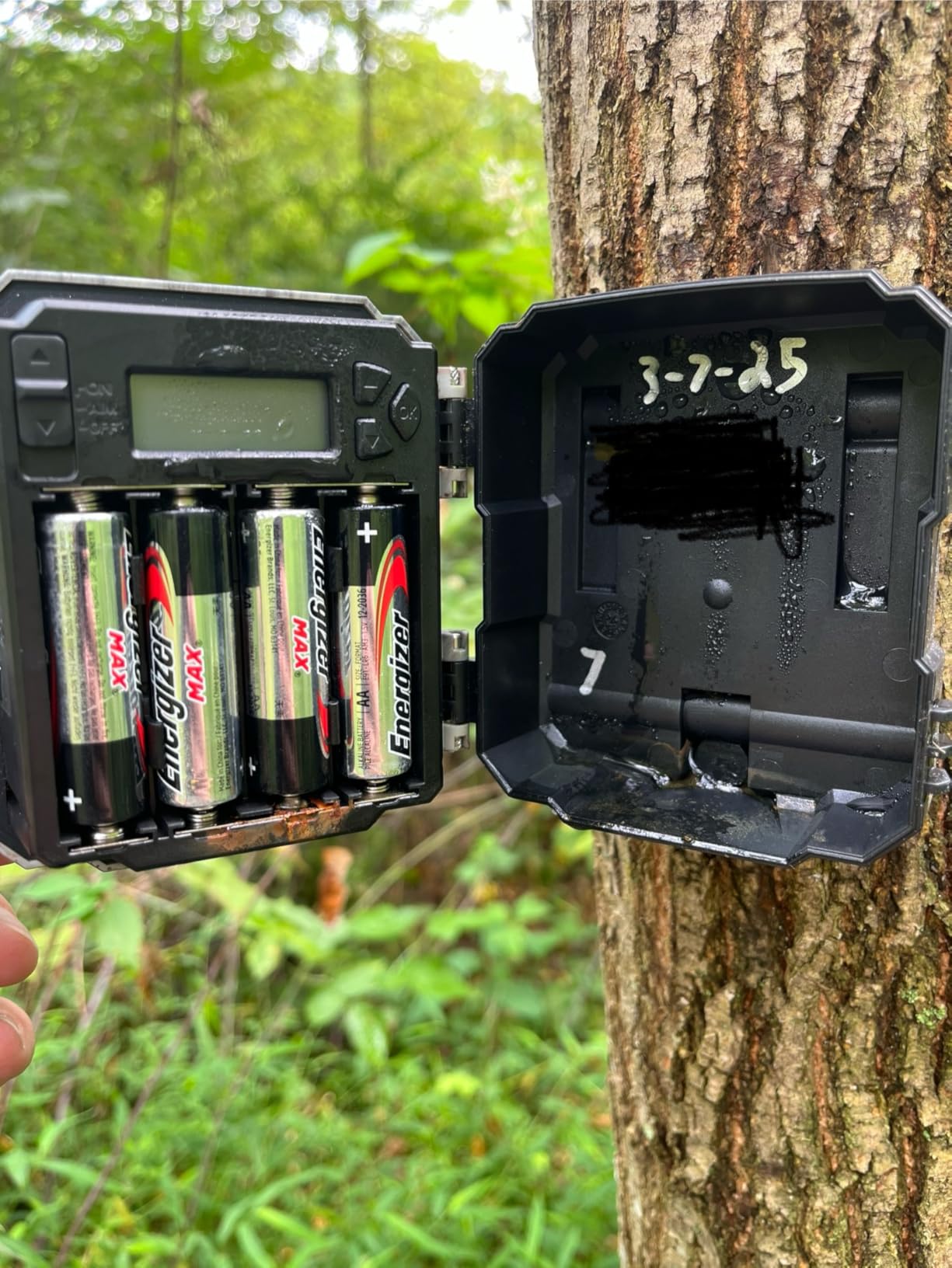 WOSODA Mini Trail Camera 4 Pack 24MP 1080P HD, Game Cam with SD Card, Waterproof Tiny Deer Camera Night Vision Motion Activated with Fast Trigger Time for Outdoor Wildlife Monitoring customer photo 1