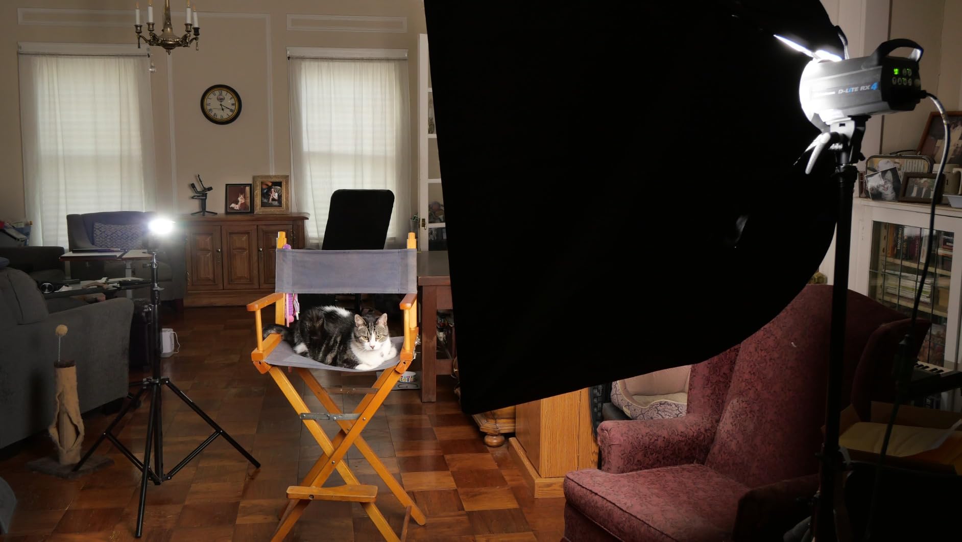 GODOX TT520 II Universal On-Camera Flash Speedlite with AT-16 Wireless Trigger Transmitter GN33 S1/S2 Modes Compatible for Canon Nikon Pentax Olympus Fujifilm Panasonic DSLR Cameras with Hot Shoe customer photo 1