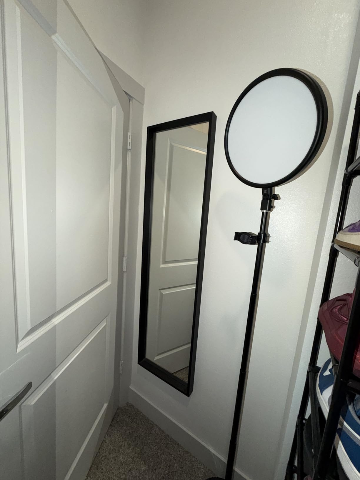 TODI Large Ring Light with 79