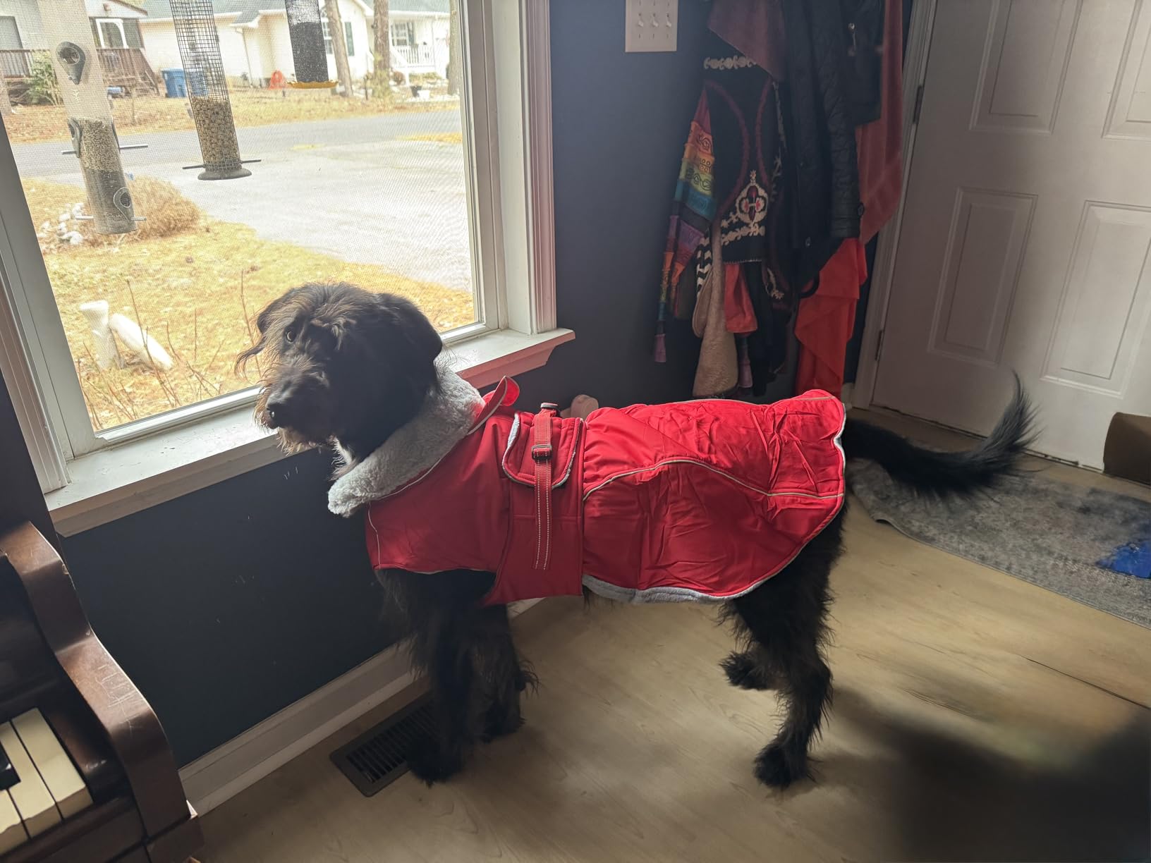 Lelepet Warm Dog Coat Reflective Fleece Vest Waterproof Dog Jacket with Adjustable Buckle Hook & Loop Windproof Cold Weather Coats for Small Medium Large Dogs, Army Green, M customer photo 1