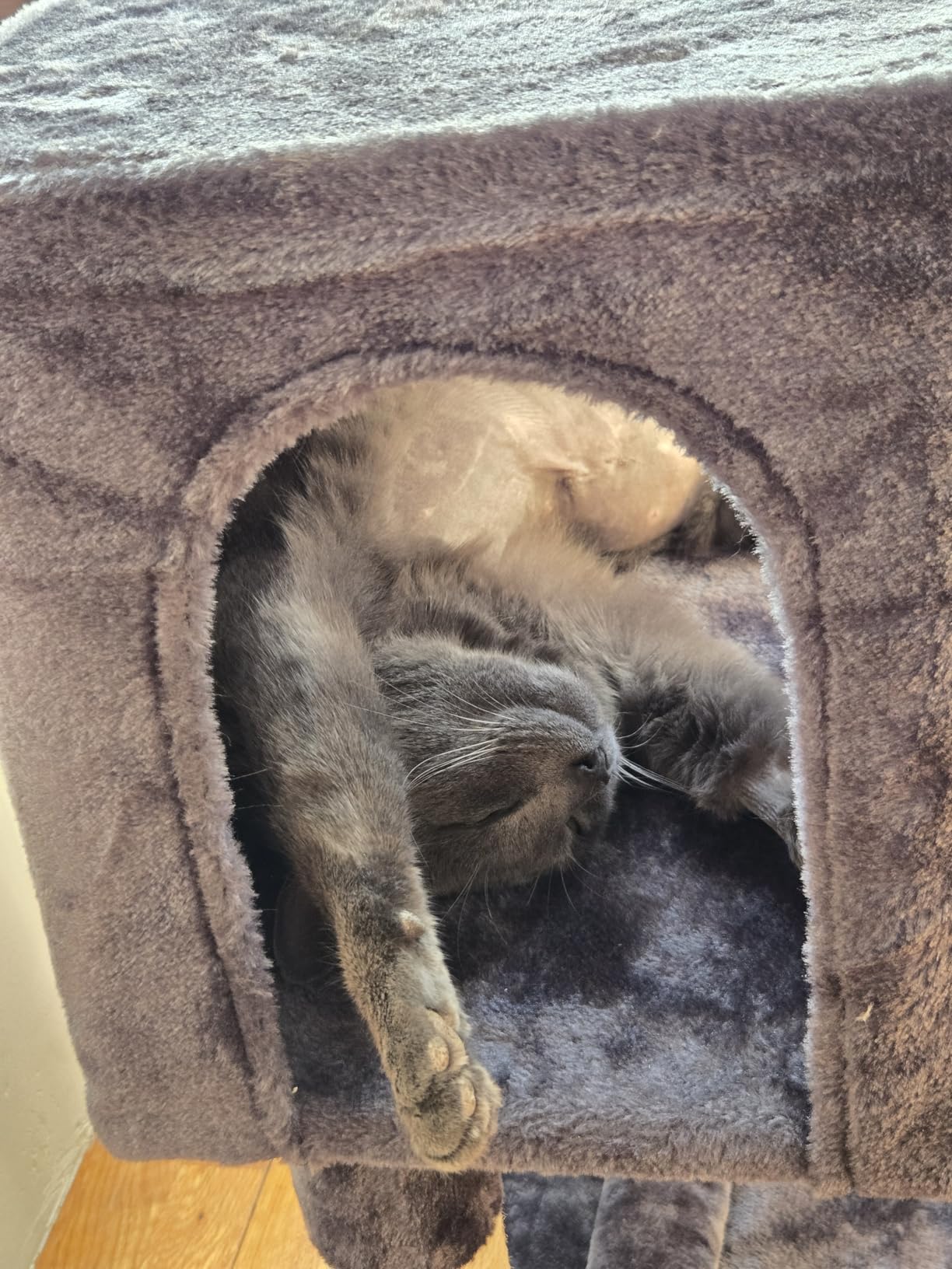 Globlazer Heavy Duty Cat Trees for Large Cats, Sturdy 72in Maine Coon Cat Tree for Large Cats 20 lbs+ Heavy Duty Cat Tower for Adult Biggest Cat with 6 Scratching Posts, Hammock, S72, Dark Gray customer photo 2