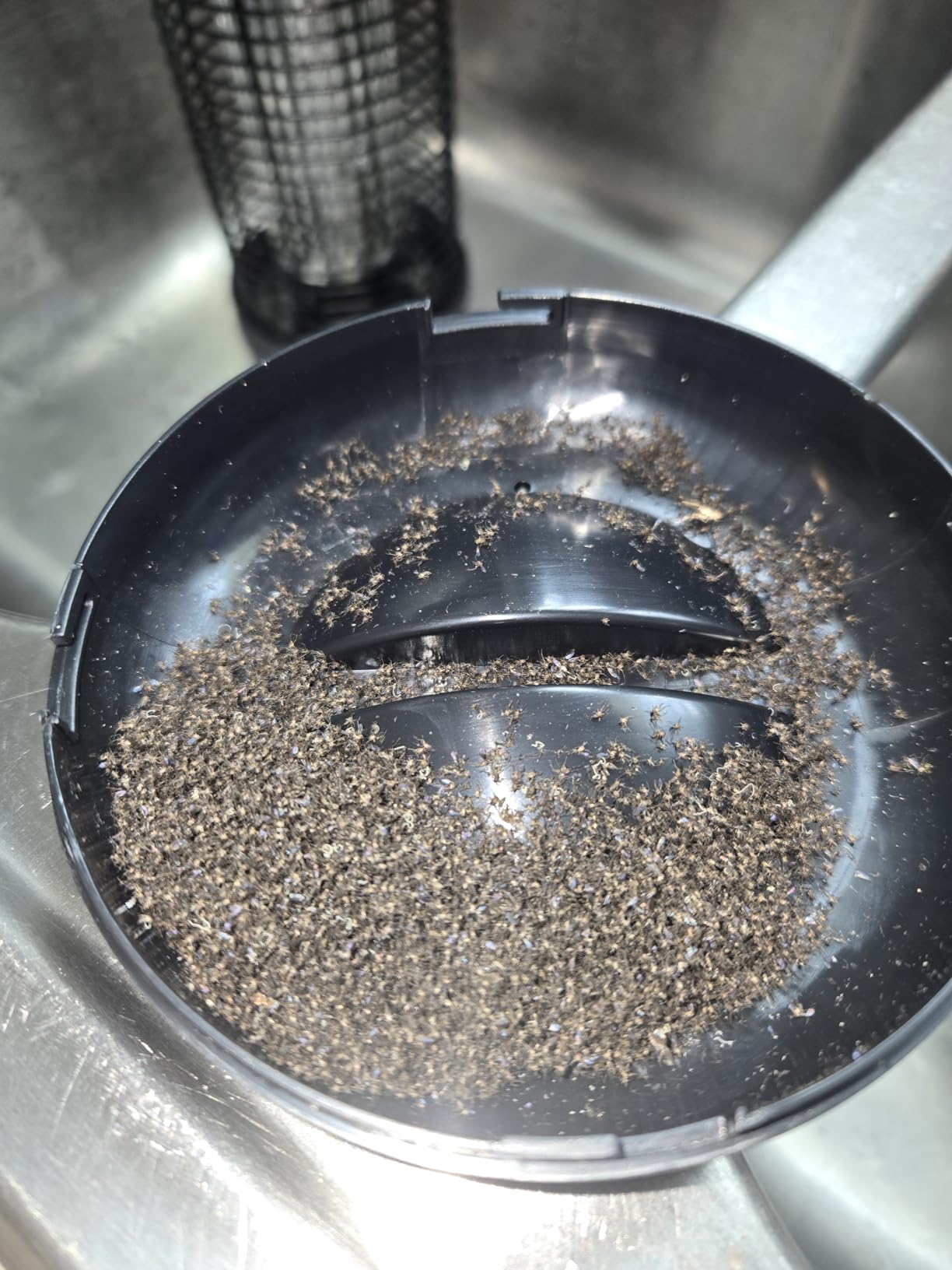 Buzbug LED Bug Zapper Indoor Outdoor, Up to 50,000 Hours Lifespan Lamps, 6.5 ft Power Cord, High-Voltage, Mosquito Zapper, Fly Trap Mosquito Trap, Fly Killer Fly Zapper -MO008C customer photo 1