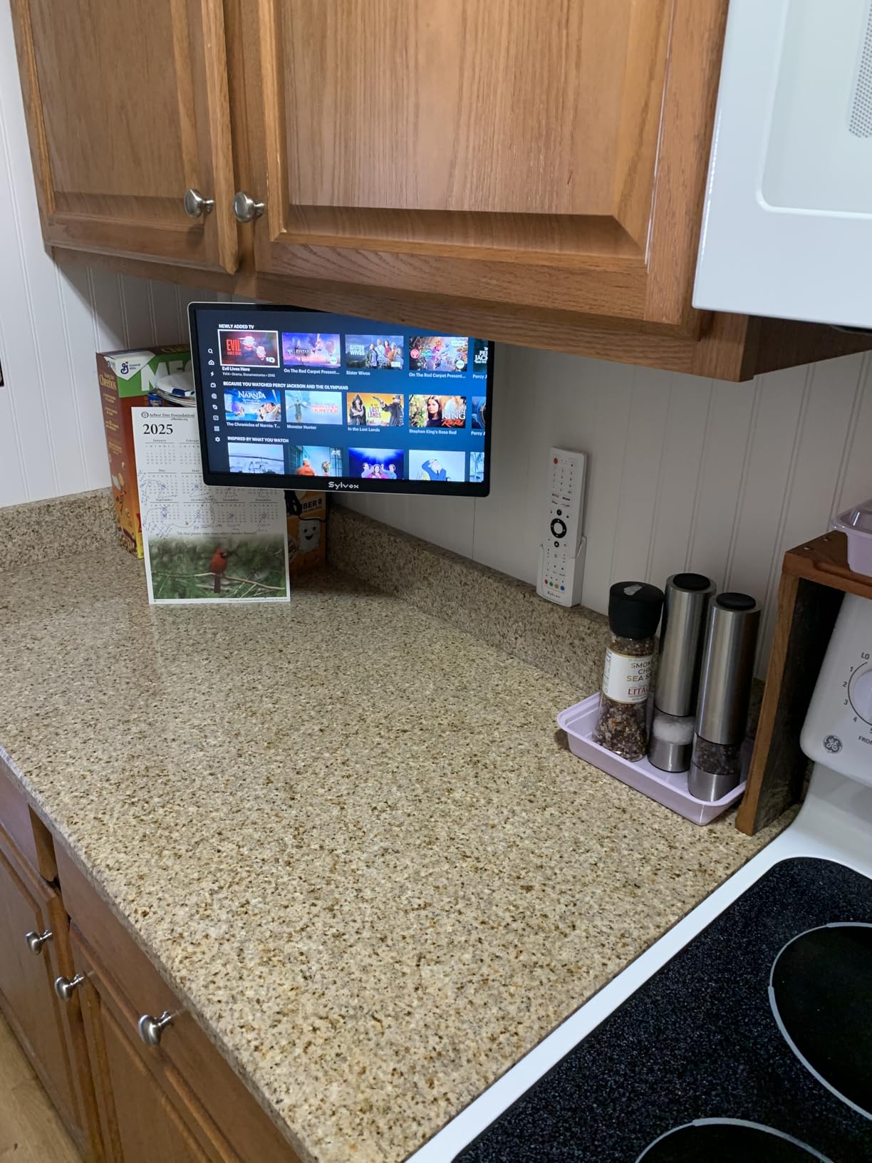 SYLVOX Kitchen TV, Small Smart TV for Kitchen, 15.6 inch 1080P Full HD Under Cabinet TVs, Google Smart Television with Voice Remote Control WiFi Bluetooth Chromecast 2 Speakers, Compact & Foldable customer photo 2