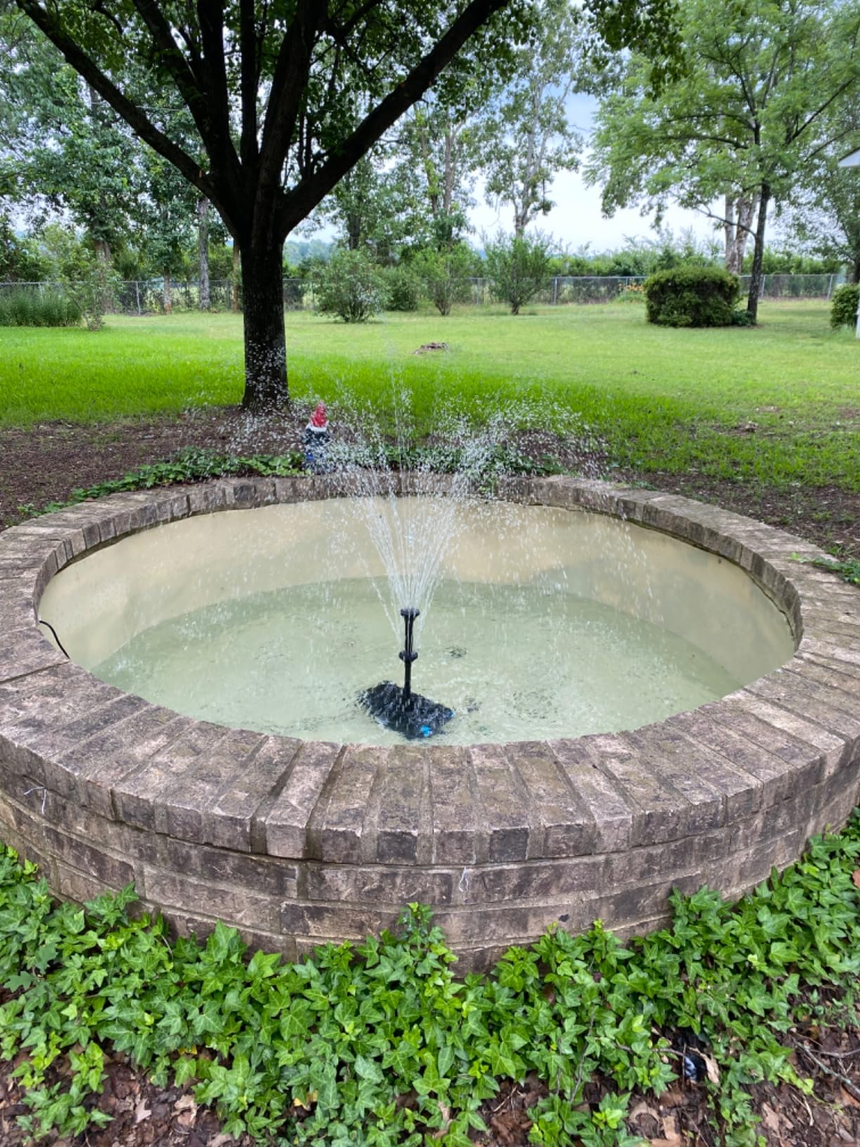 Biling Pond Filter with Fountain Pump Kits, 660GPH Koi Pond Filter with 40W Pond Pumps customer photo 1