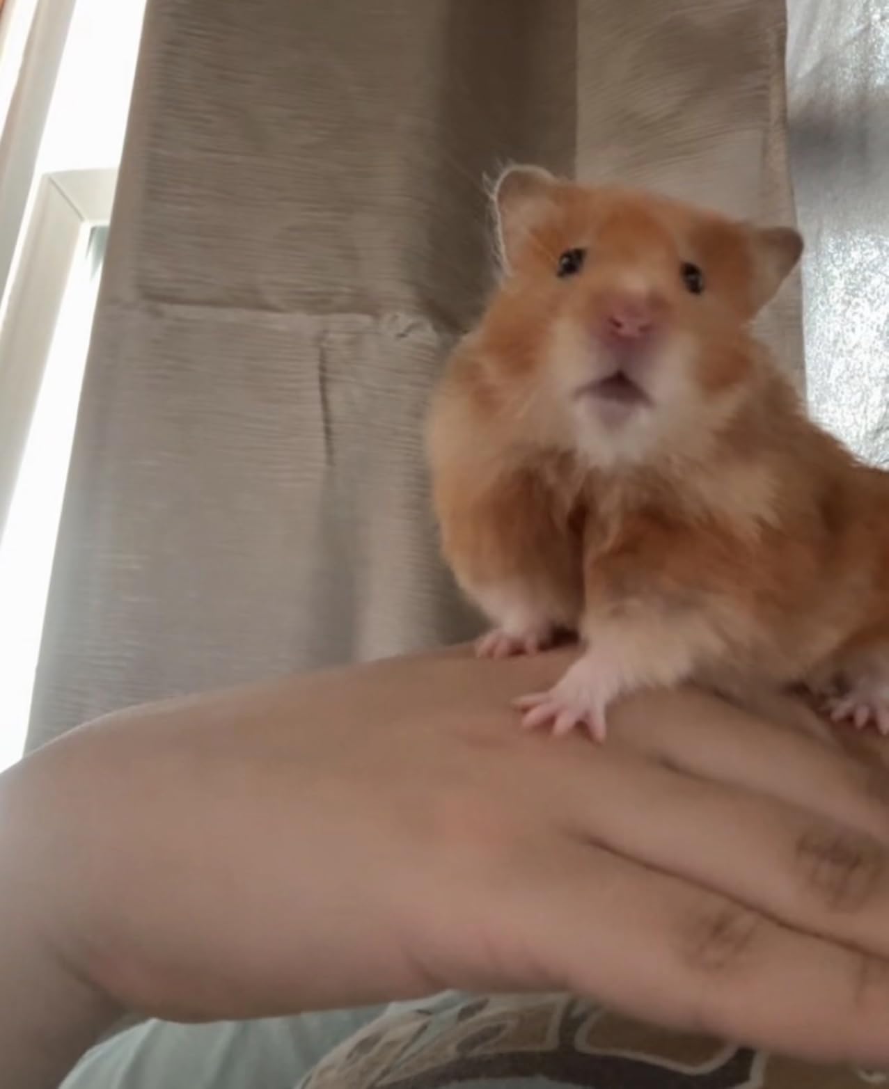 PawHut Large Hamster Cage with Deep Tempered Glass Bottom, 3 Tiers Hamster Tank with Running Wheel, Hut, Water Bottle, Dish, 30