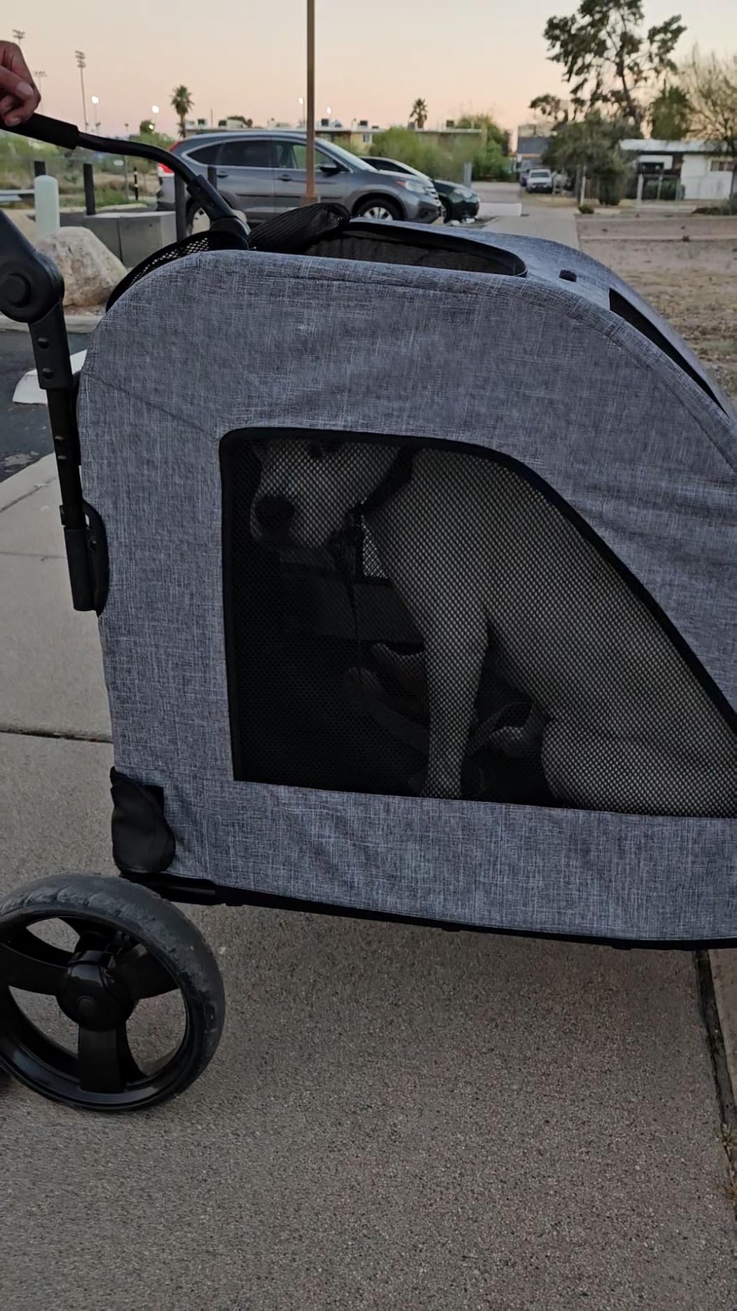 EchoSmile XL Extra Large Dog Stroller - Adjustable Handles, Lightweight Folding Pet Stroller, All-Terrain 4 Wheel for 2 Medium Dogs, Dual Entry Safety Dog Stroller, Capacity 160 lbs, Gray customer photo 2