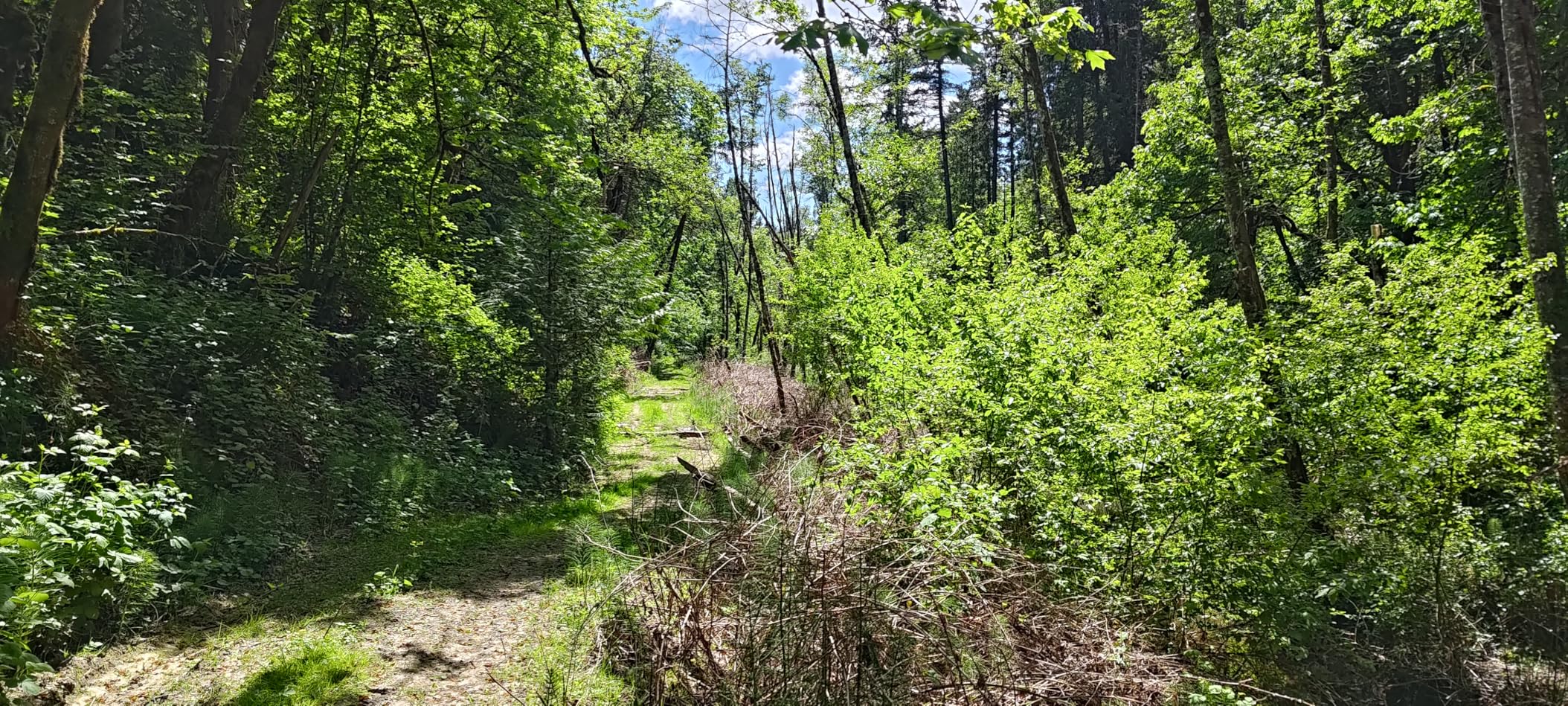 ROG Phone 8 Unlocked Android Phone, US Version, 6.78