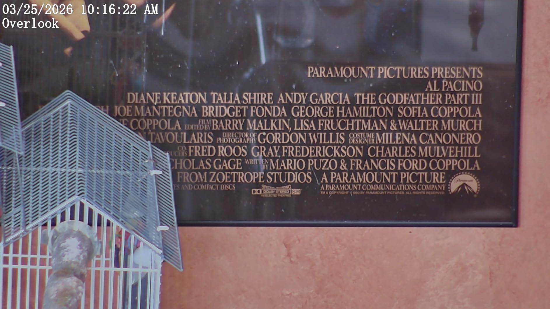 FOSCAM 4MP WiFi PTZ Outdoor Camera, 18X Optical Zoom with Auto Tracking, 2.4/5GHz WiFi Camera for Home Security, Person/Vehicle/Animal Detection, 656ft Night Vision, 350° Pan 90° Tilt, Two-Way Audio customer photo 2