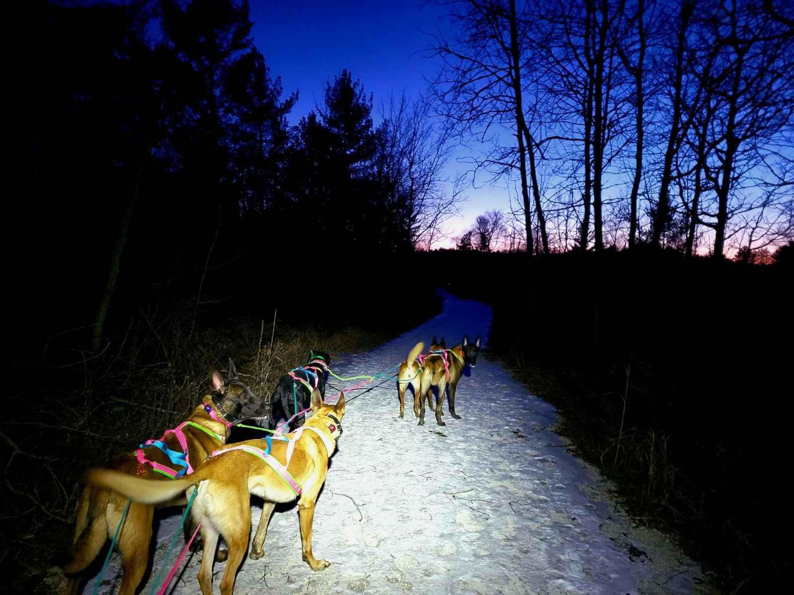 Nitecore HC65 UHE Headlamp, 2000 Lumen Max Heavy Duty Metal, USB-C Rechargeable with White, Red, and Reading Lights customer photo 2