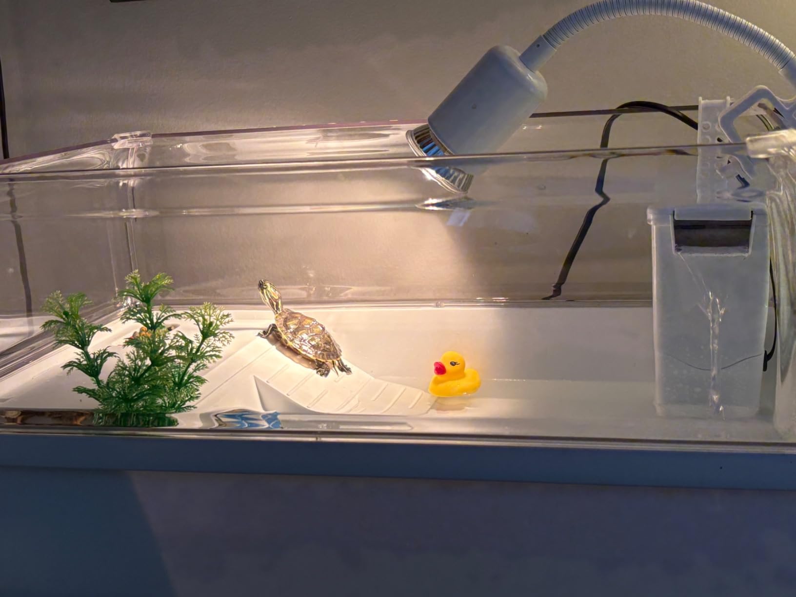 Turtle Tank Acrylic Habitat Kit with Silent Filter and Bottom Drain, UVB Basking Platform Light, Multi-Zone Aquatic Tortoise Enclosure with Hideout, Feeding Area, Plant, Net and Accessories for Baby customer photo 1