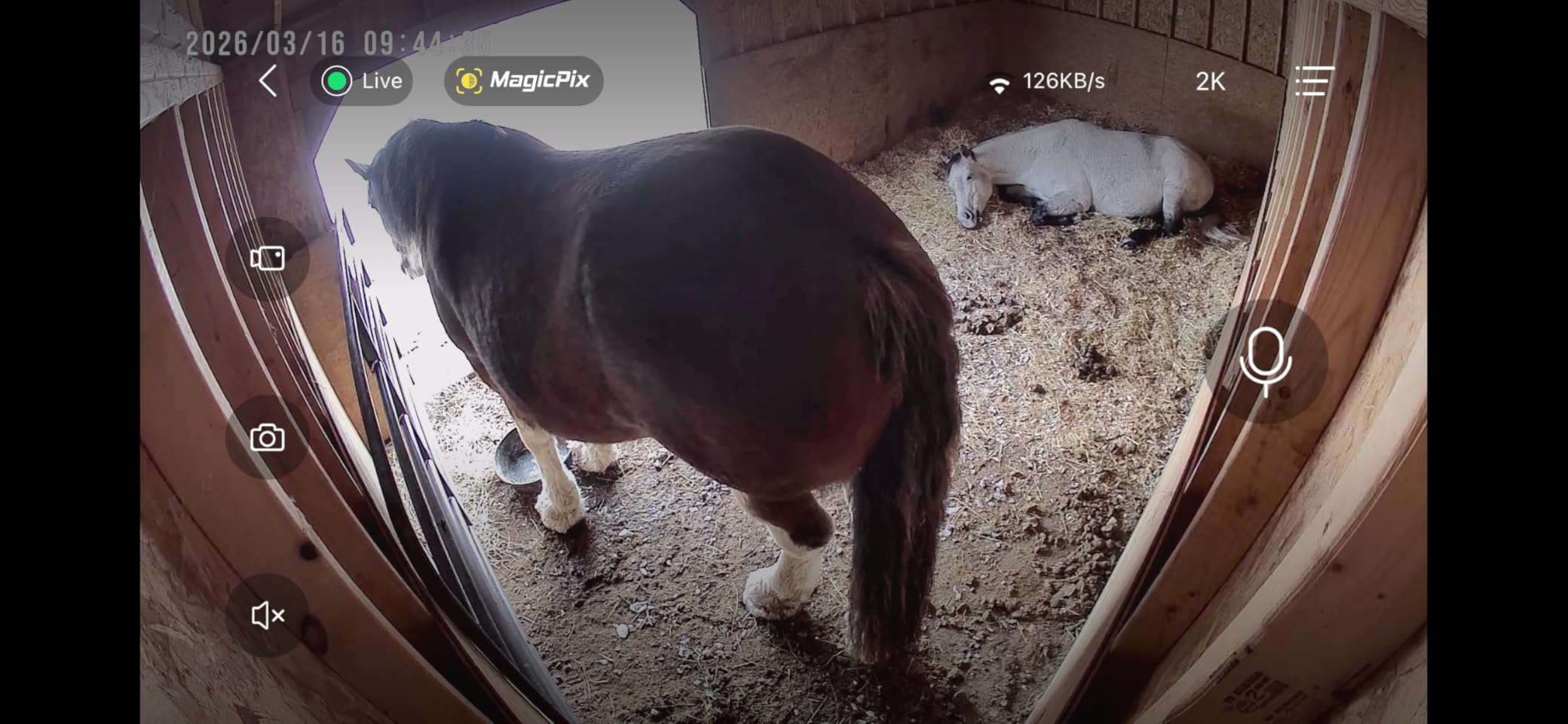 AMTIFO Security Cameras Wireless Outdoor Magnetic: Install-Free Smart Indoor 2K WiFi - Long Battery Life Powered Wireless Cameras for Home Security with AI Motion Detection customer photo 1