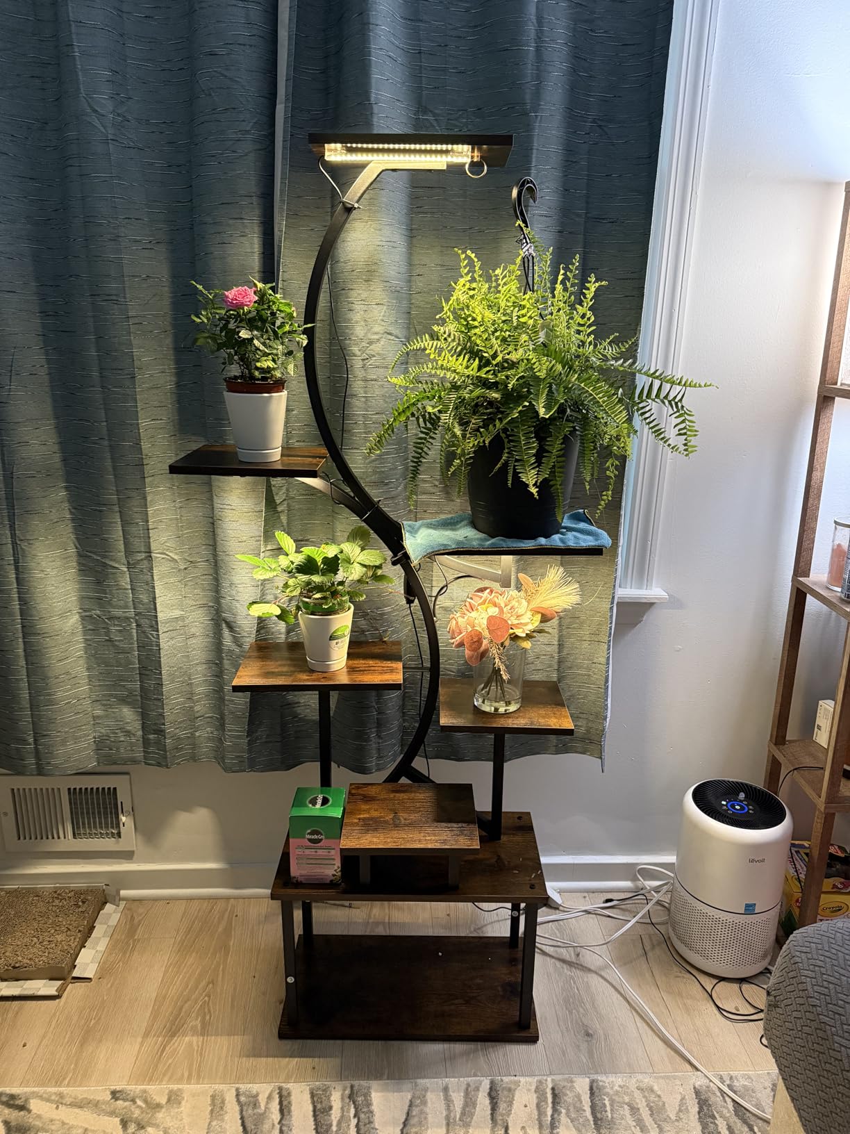 Plant Stand Indoor with Grow Lights - 62