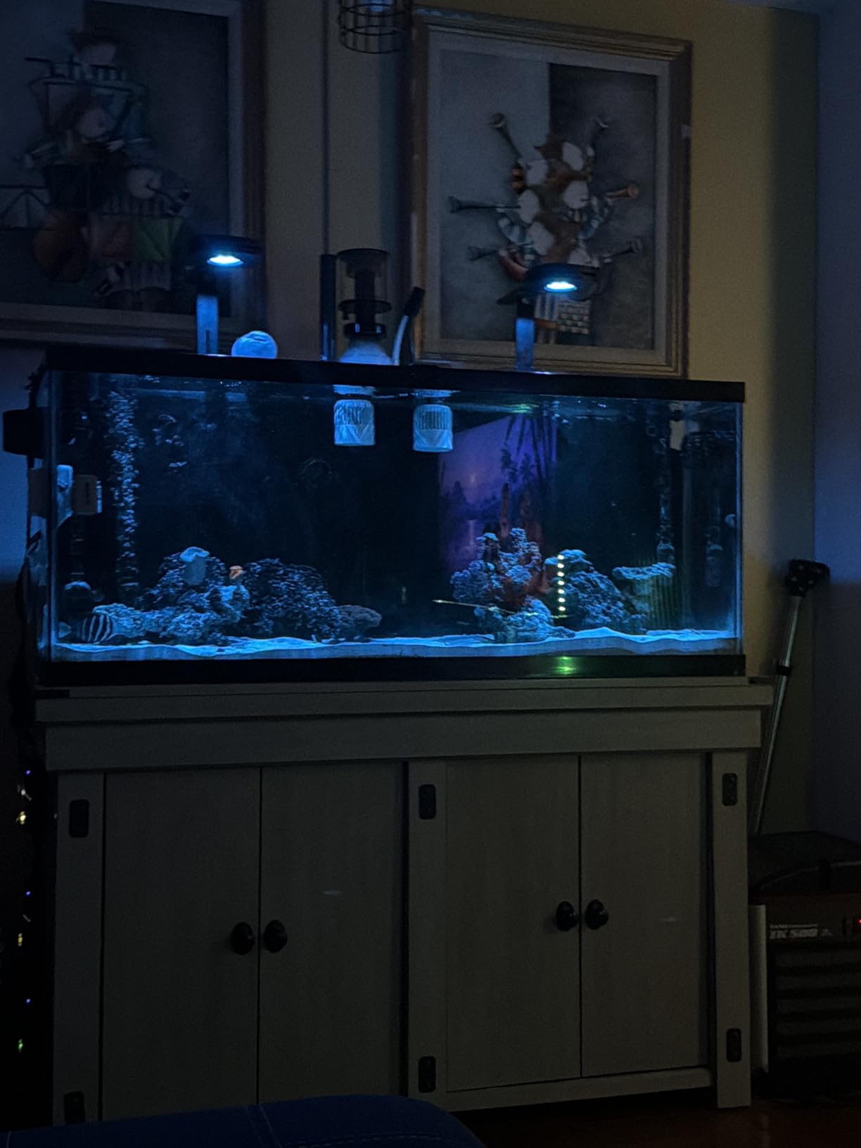 AquaIllumination AI Prime 16 HD LED App Controllable Saltwater Aquarium Reef Light - Black customer photo 1