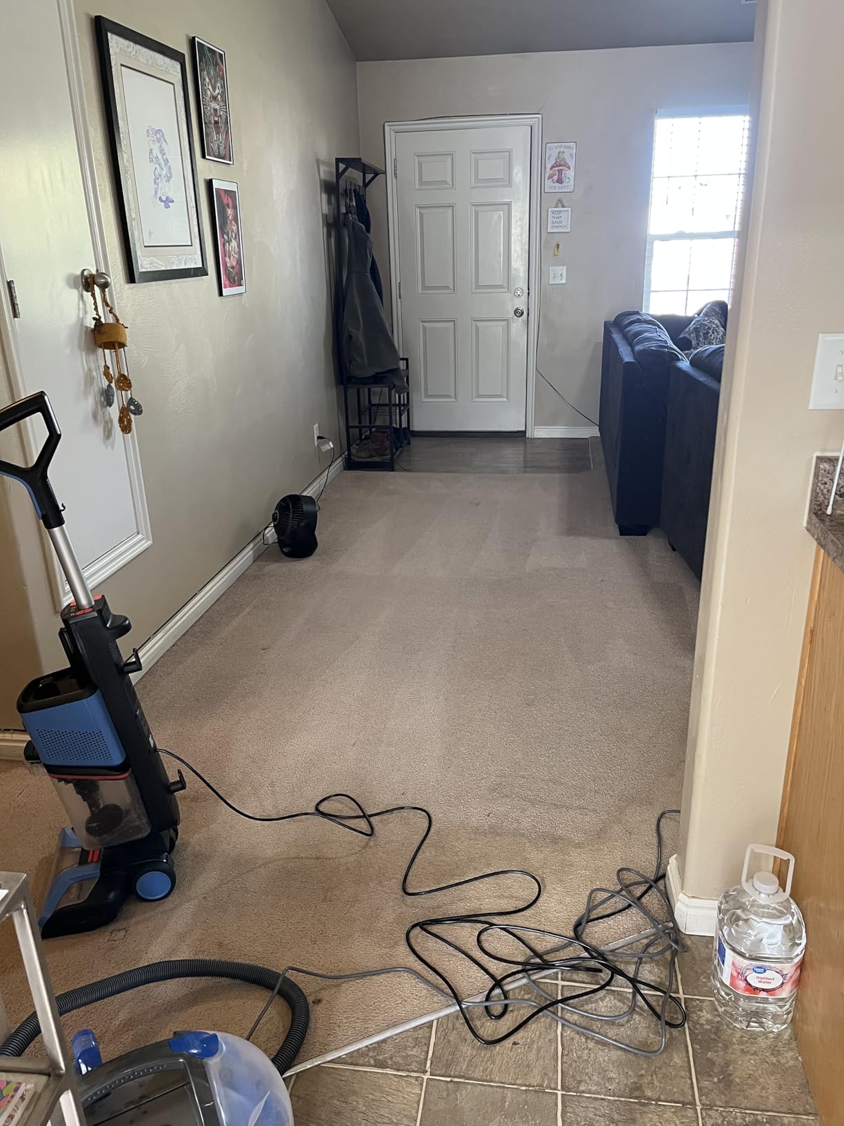 Shark CarpetXpert Upright Carpet & Area Rug Cleaner, Perfect for Pets, Lightweight & Powerful, Dirt, Grime, & Odor Removal, Carpet Shampooer, Cleaning Solution, Blue, EX121BRN customer photo 1