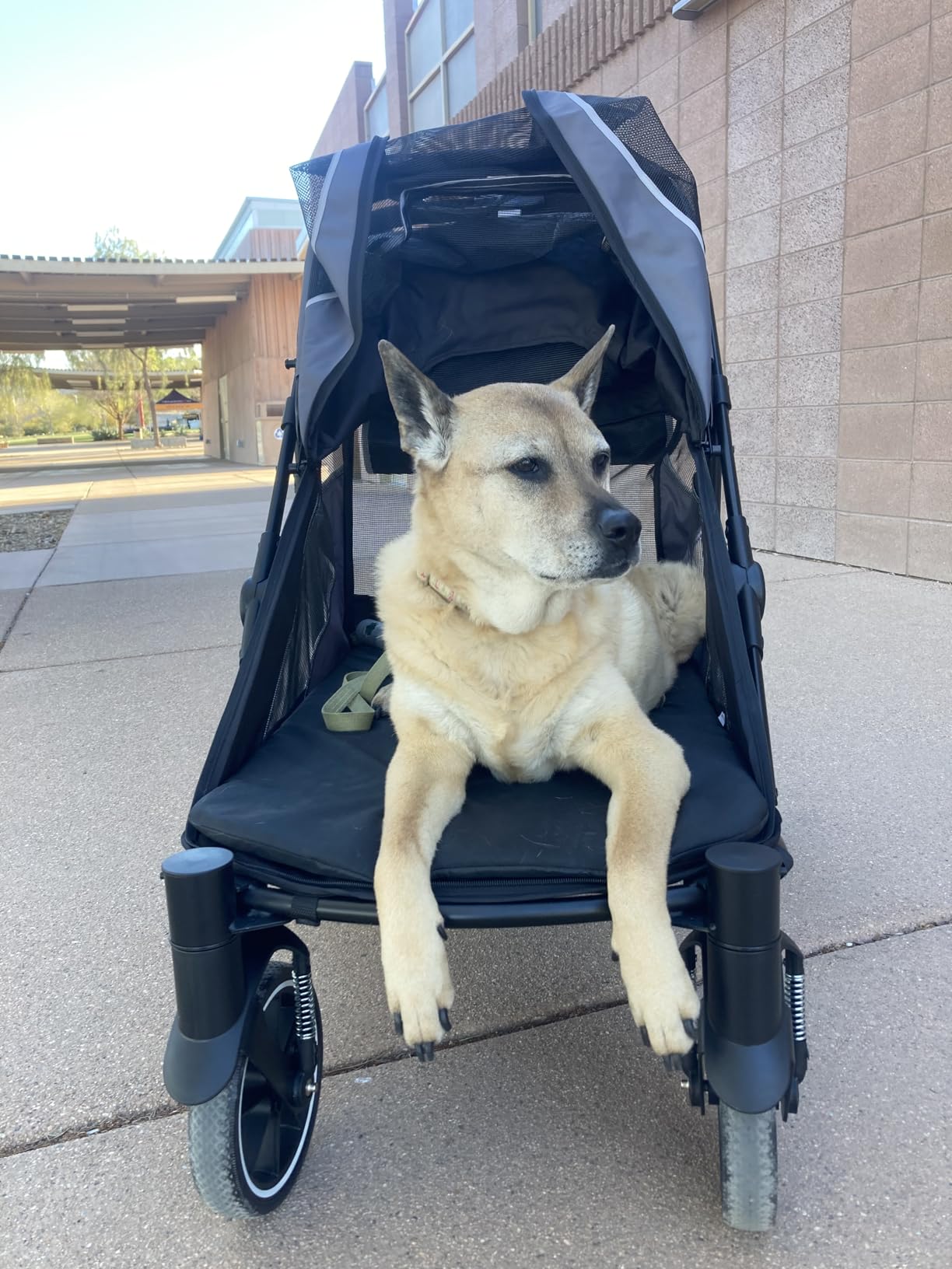 Dog Stroller for Medium/Large Dogs One-Click Folding, Extra Large Pet Stroller for 2 Dogs with Storage Pocket & Shock Absorption, Up to 130 lbs, Grey customer photo 1