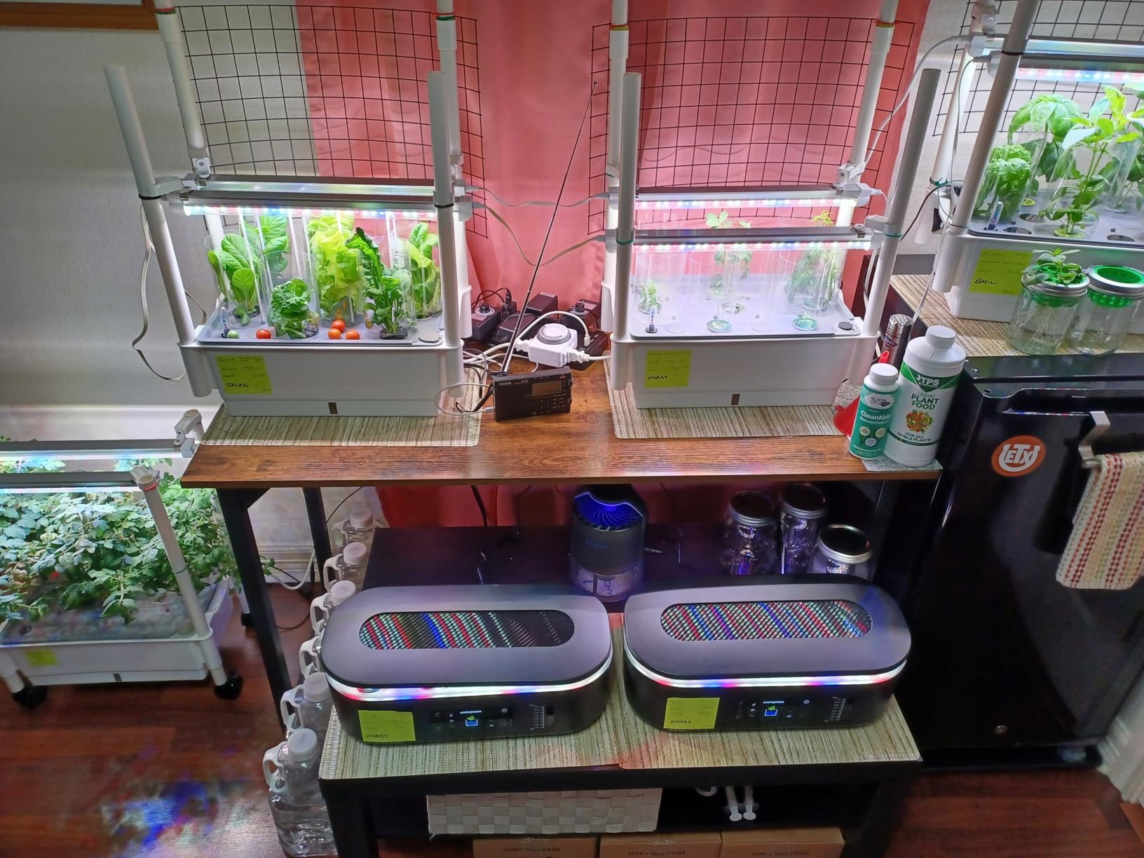Hydroponics Growing System, AOONEG 28Pods Indoor Herb Garden with LED Grow Light, Automatic Timer, Pump System, Adjustable Height customer photo 1