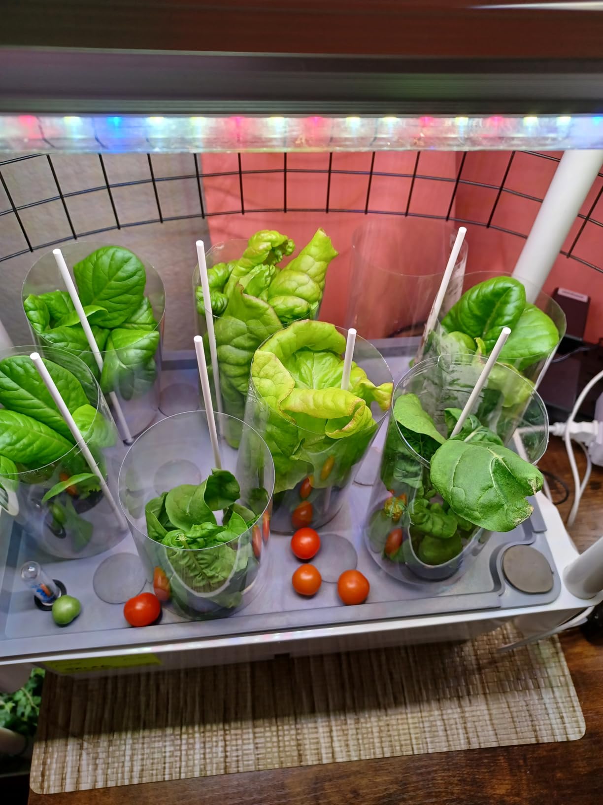 Hydroponics Growing System, AOONEG 28Pods Indoor Herb Garden with LED Grow Light, Automatic Timer, Pump System, Adjustable Height customer photo 2