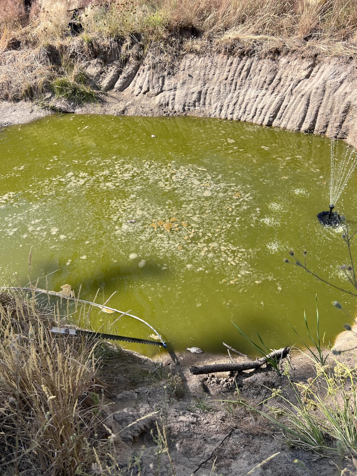 100W Floating Solar Pond Fountain Pump Kit for Ponds Deeper Than 3 Feet and At Least 10 Feet Wide customer photo 1