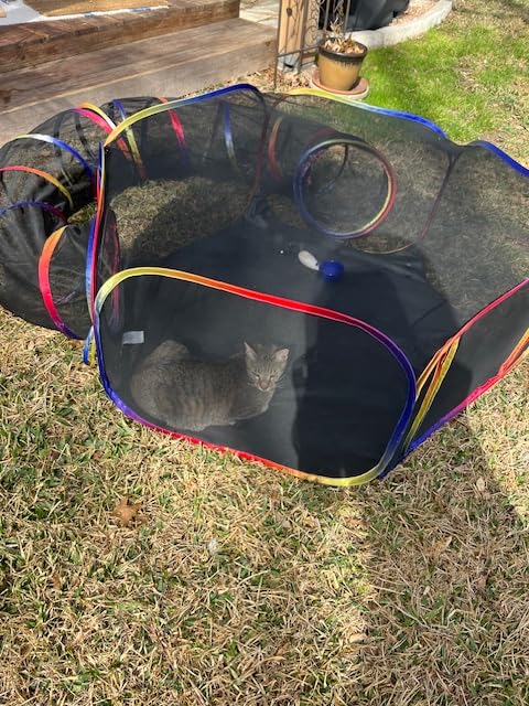 Outdoor Cat Enclosure - Portable Catio Playground for Cat Run, Kitty and Small Animals - Tent & Tunnels for Outside and Indoor Play customer photo 1
