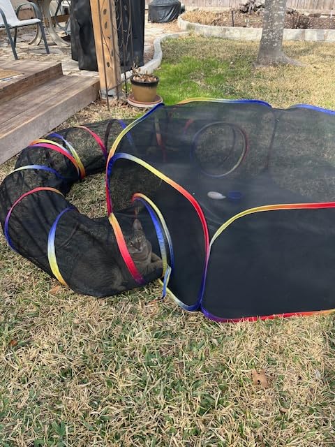 Outdoor Cat Enclosure - Portable Catio Playground for Cat Run, Kitty and Small Animals - Tent & Tunnels for Outside and Indoor Play customer photo 2