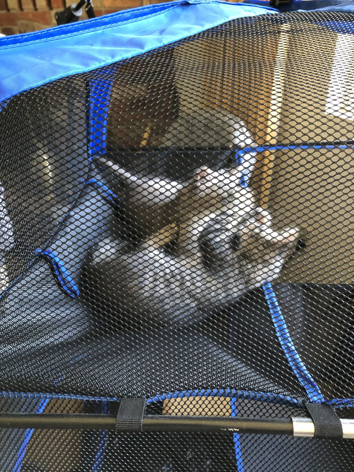 Catio Outdoor Cat Enclosure, 3-in-1 Extra Large Portable Cat Playpen with Tower Tent & Tunnel, Foldable Waterproof Mesh Catio for Indoor Outdoor Cats & Small Pets customer photo 1