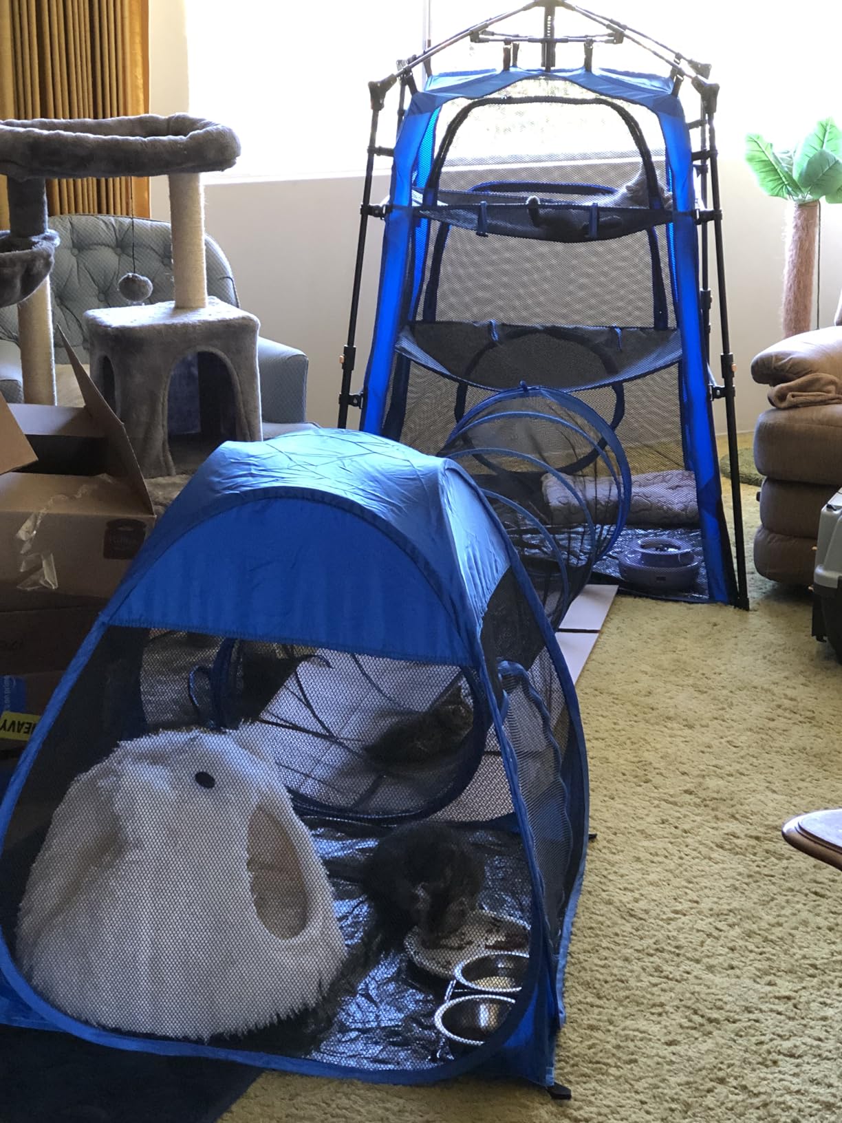 Catio Outdoor Cat Enclosure, 3-in-1 Extra Large Portable Cat Playpen with Tower Tent & Tunnel, Foldable Waterproof Mesh Catio for Indoor Outdoor Cats & Small Pets customer photo 2