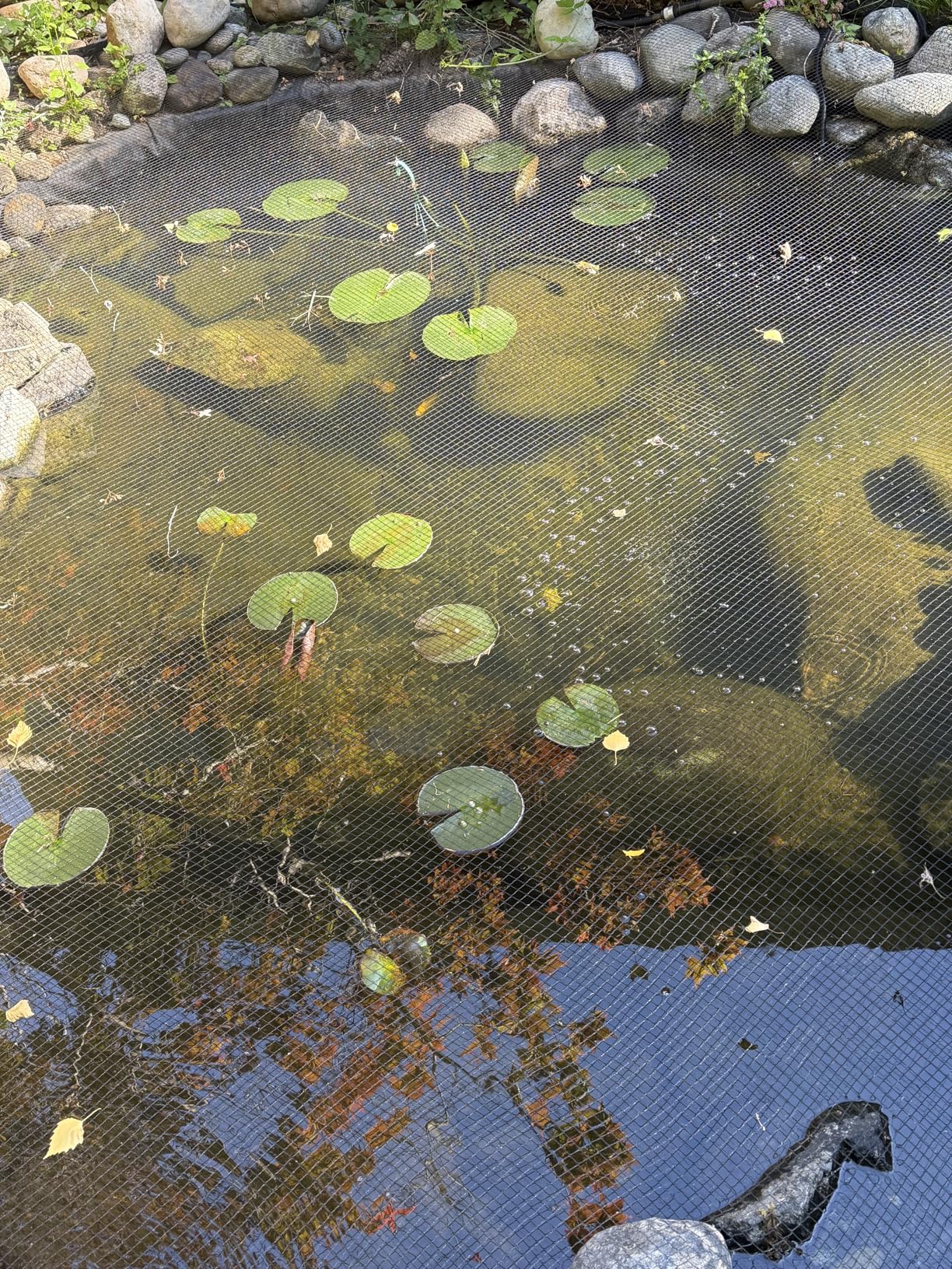 18W Aquarium UV Light for 100-1000 Gallon, UV Pond Water Clarifier for Koi Pond, Swimming Pool, Spa, Large Fish Tank, Cold Plunge UV Light for Pond Algae Control customer photo 2