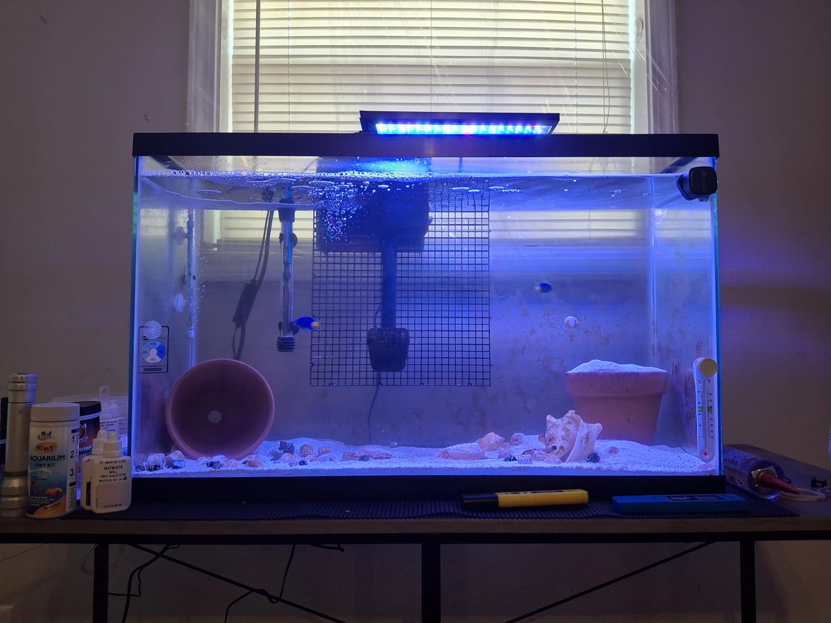 hygger Clip On 24/7 Saltwater Aquarium LED Light, 22W Sunrise-Daylight-Moonlight Mode and DIY Mode, Adjustable Timer Adjustable Brightness Fish Tank Light with 7 Colors for Coral Marine Tank customer photo 1