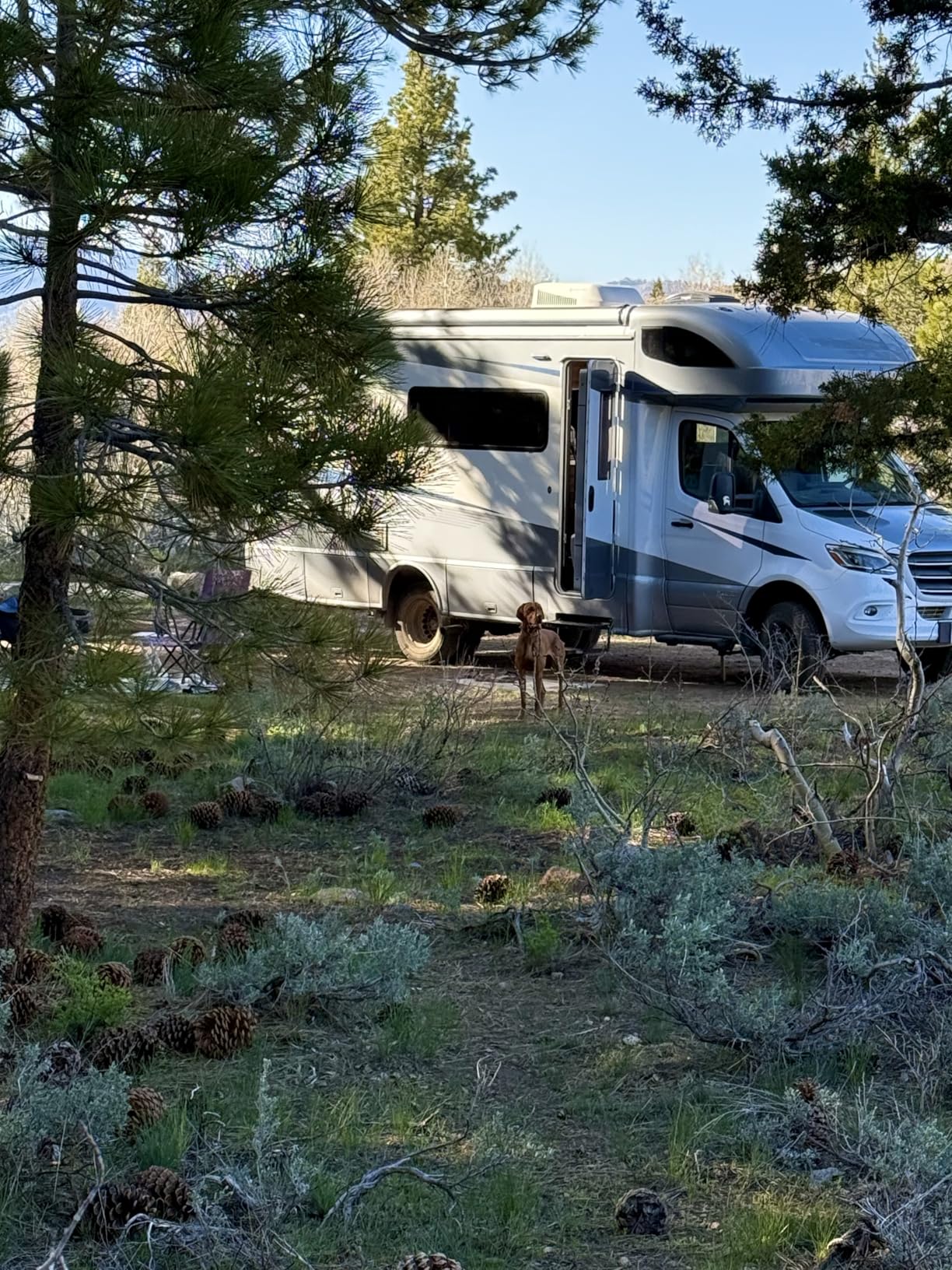 AC200PL Portable Power Station, 2304Wh Solar Generator, Expandable to 8448Wh w/ 4 2400W AC Outlets (3600W Power Lifting), 30A TT30 Output, LiFePO4 Battery Backup for RV, Camping, Home Use customer photo 2