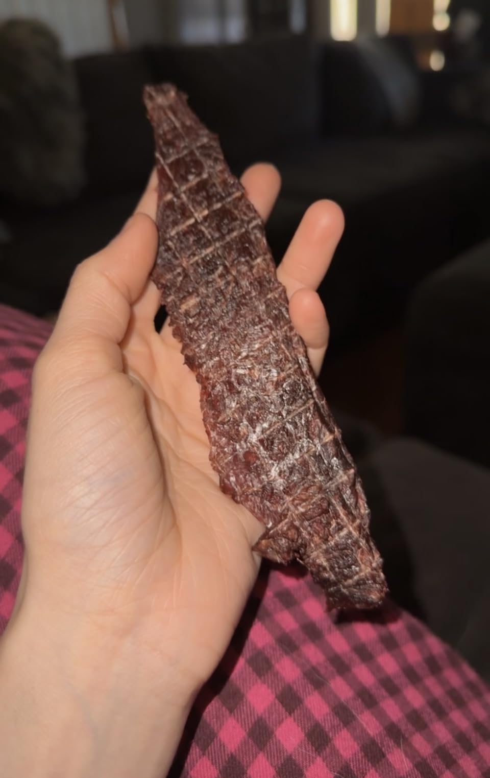 Magic Mill Pro Food Dehydrator Machine | 10 Stainless Steel Trays | Dryer for Jerky, Dog Treats, Herb, Meat, Beef, Fruit | Keep Warm Function, Digital Timer and Temperature Control, ETL Approved customer photo 1