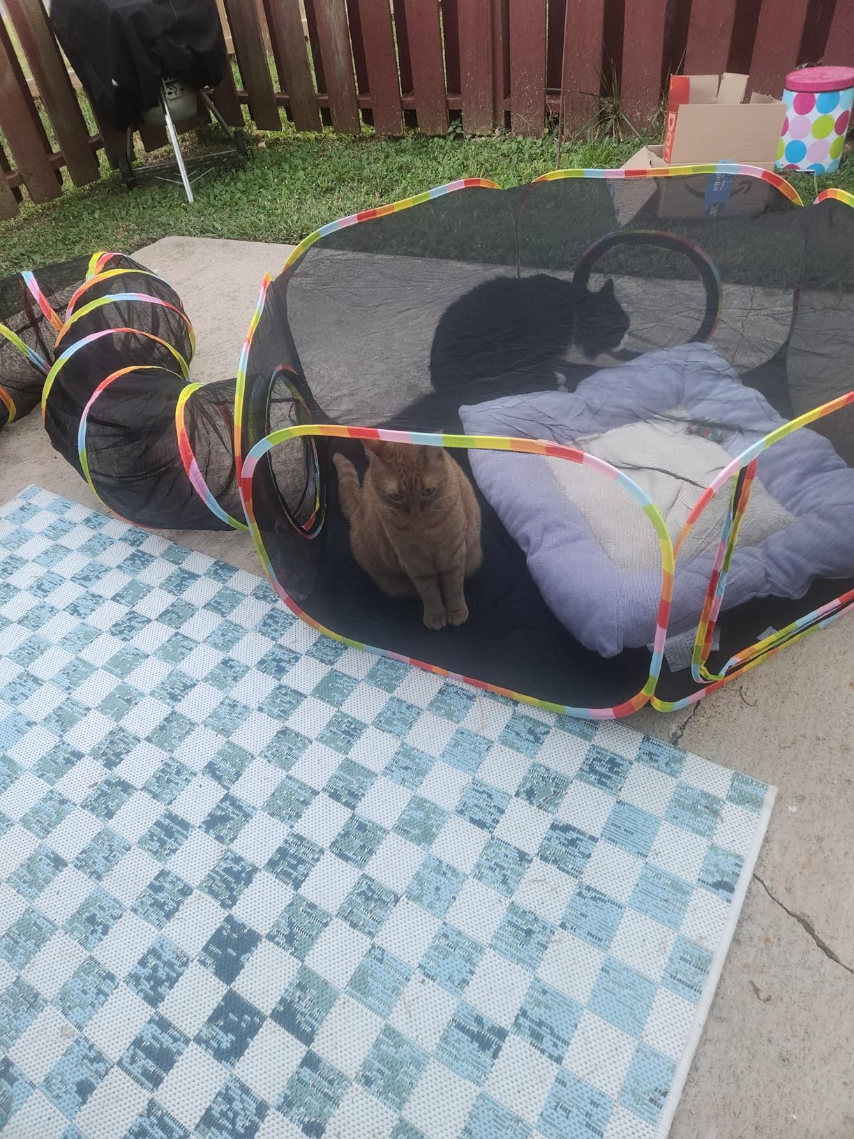Outdoor Cat Enclosures, Cat Playground Portable Mesh Tent, Outside Circle Playpen Tunnel for Kitty, Rabbit, Puppy and Small Animals customer photo 1