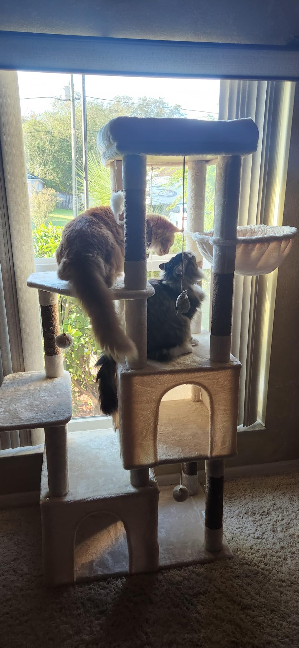 Globlazer Cat Tower for Indoor Cats, Heavy Duty Cat Trees for Large Cats Adult Big Cats Maine Coon Cat Tree Tower with Scratching Post, Extra Large Top Perch, Cat Condos, F61, Light Grey, 61inch customer photo 1