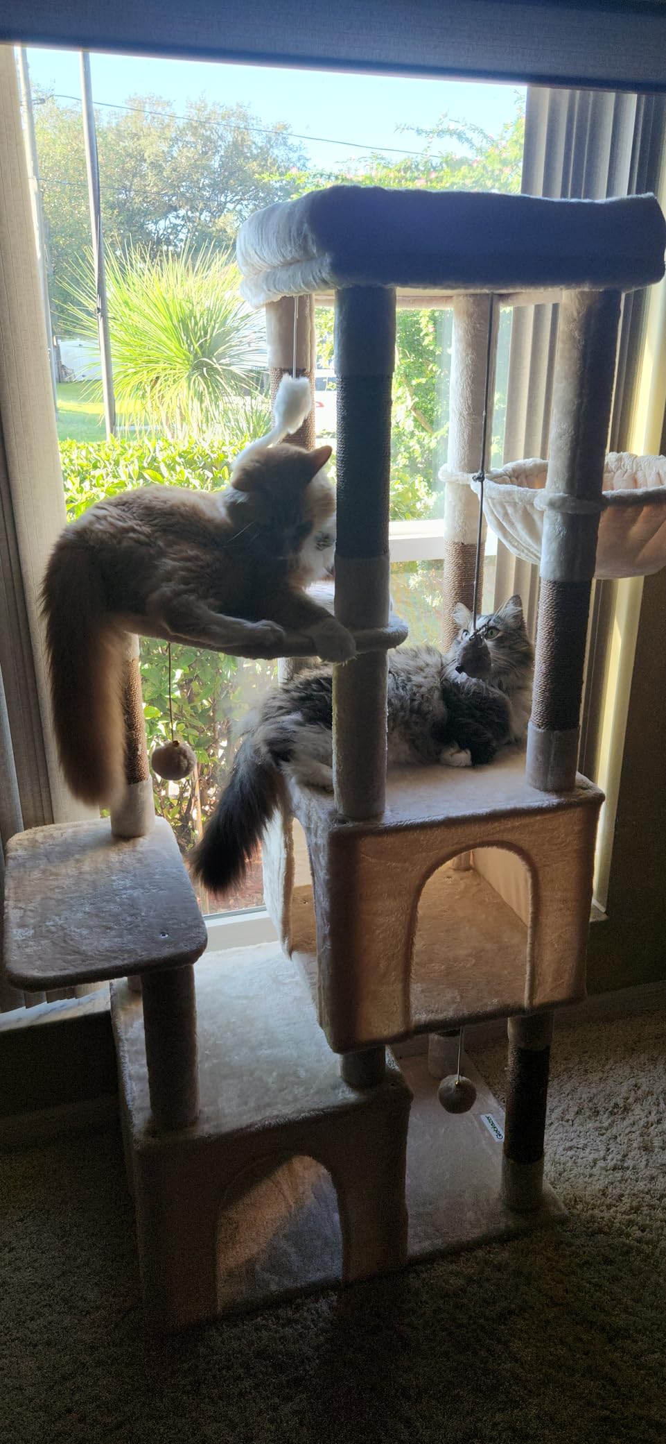 Globlazer Cat Tower for Indoor Cats, Heavy Duty Cat Trees for Large Cats Adult Big Cats Maine Coon Cat Tree Tower with Scratching Post, Extra Large Top Perch, Cat Condos, F61, Light Grey, 61inch customer photo 2